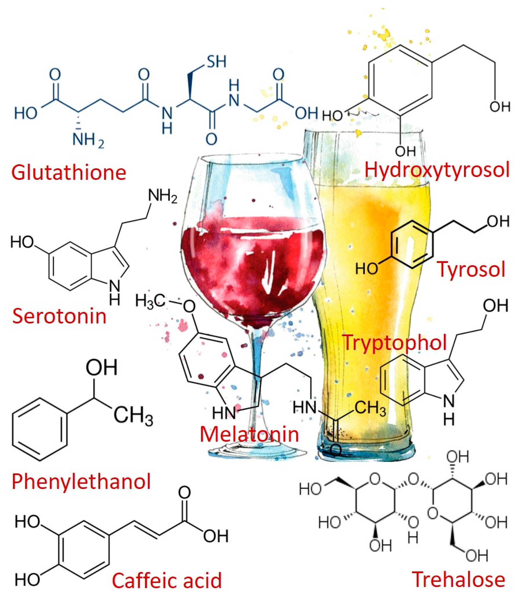 Fermentation 05 00046 g001