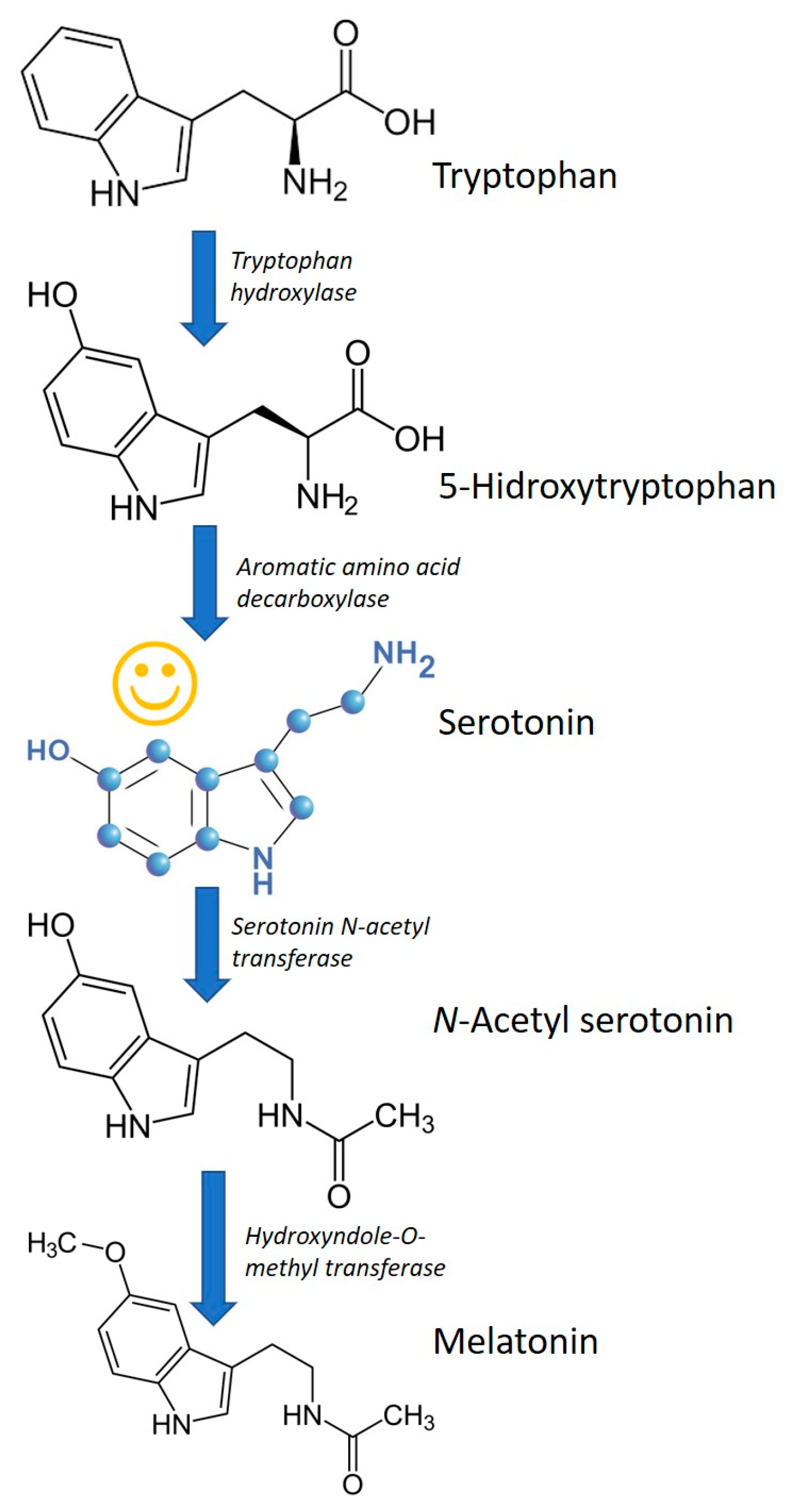 Fermentation 05 00046 g003
