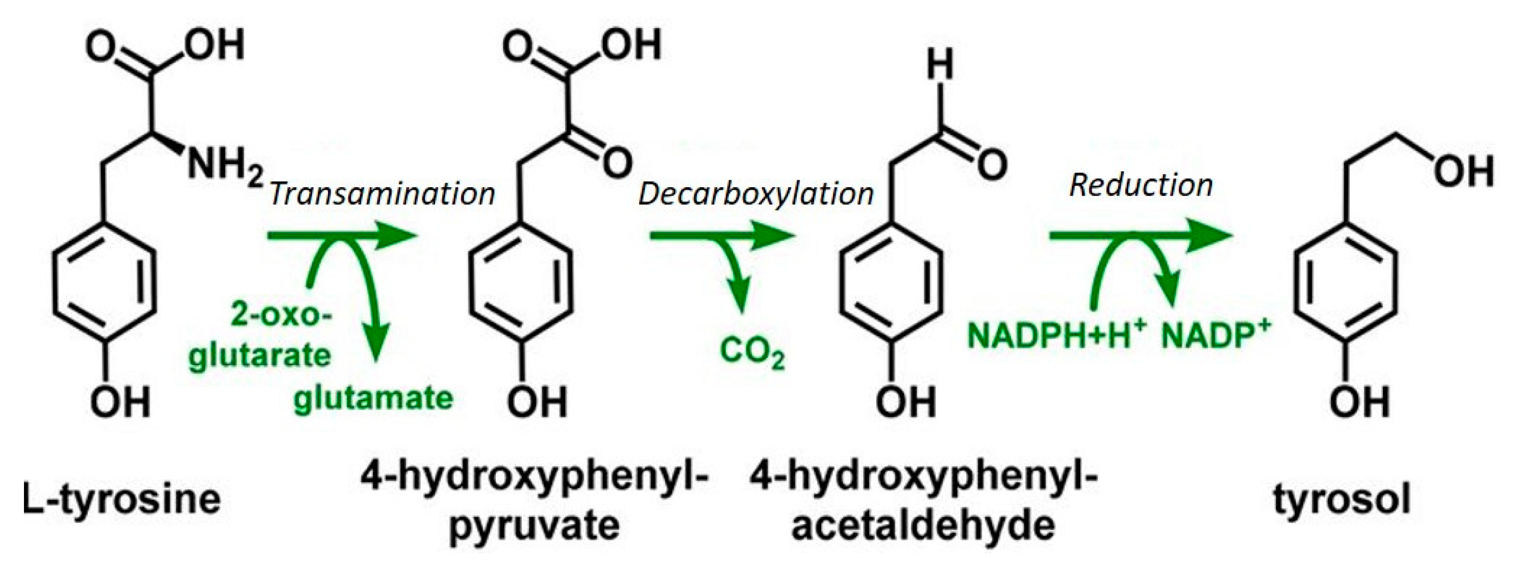 Fermentation 05 00046 g004