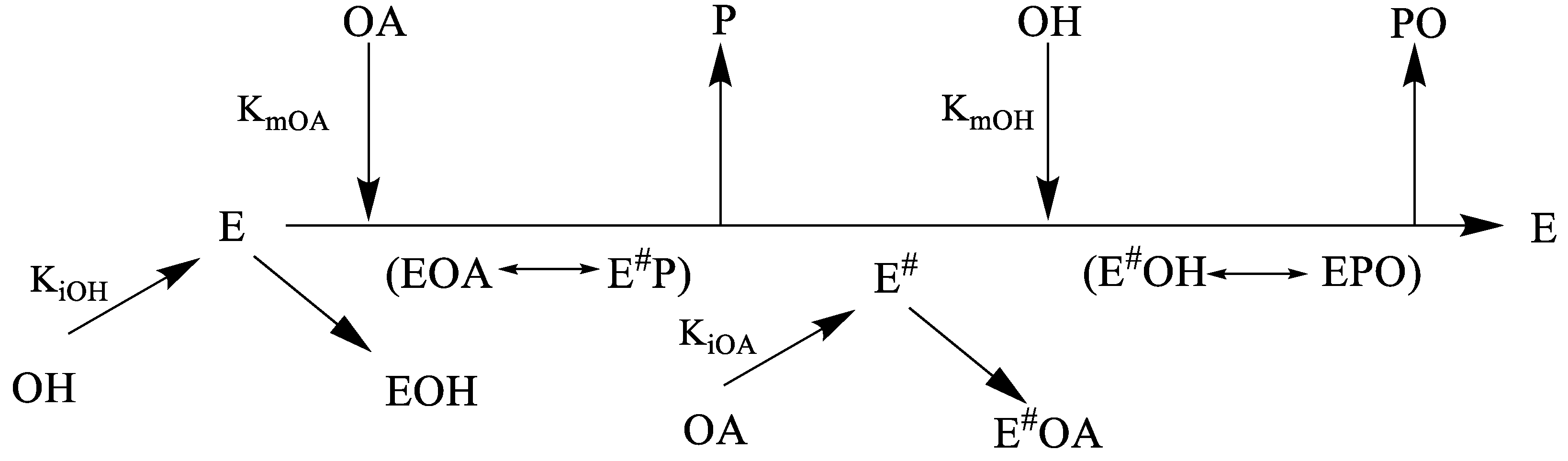Fermentation 05 00048 sch001