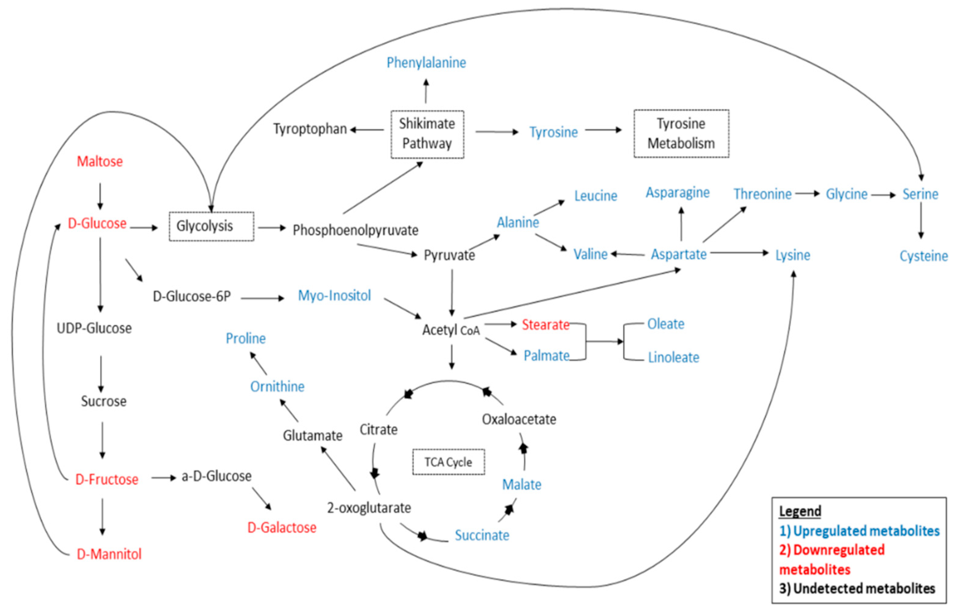 Fermentation 05 00052 g004