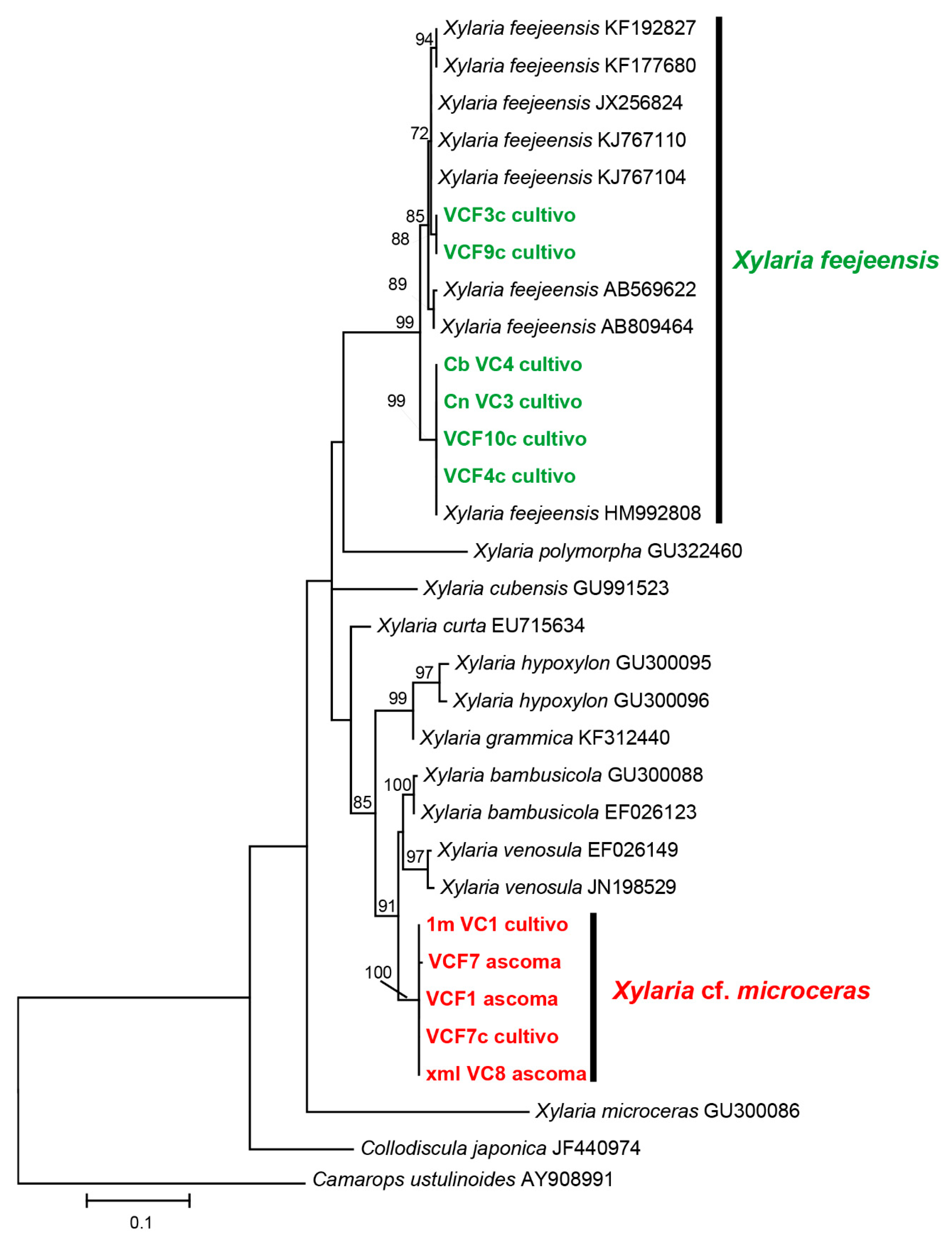 Fermentation 05 00076 g002