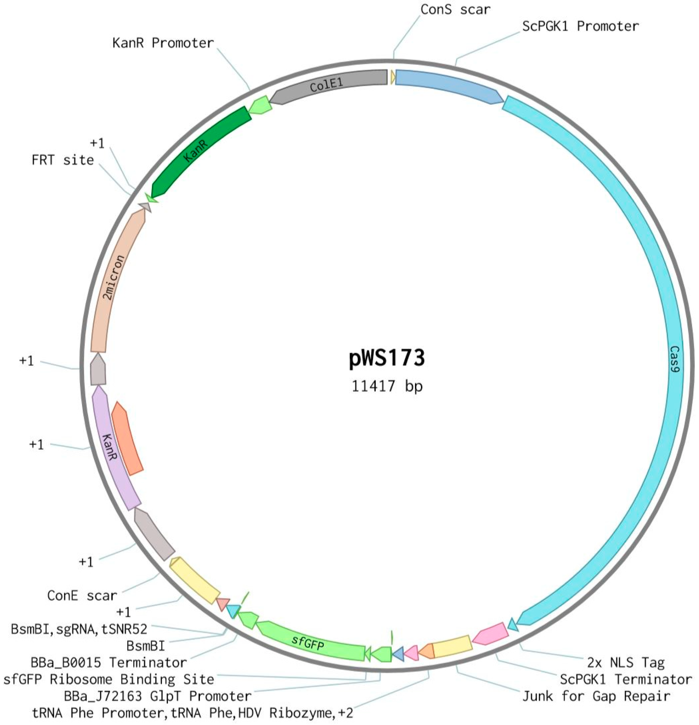 Fermentation 05 00093 g001