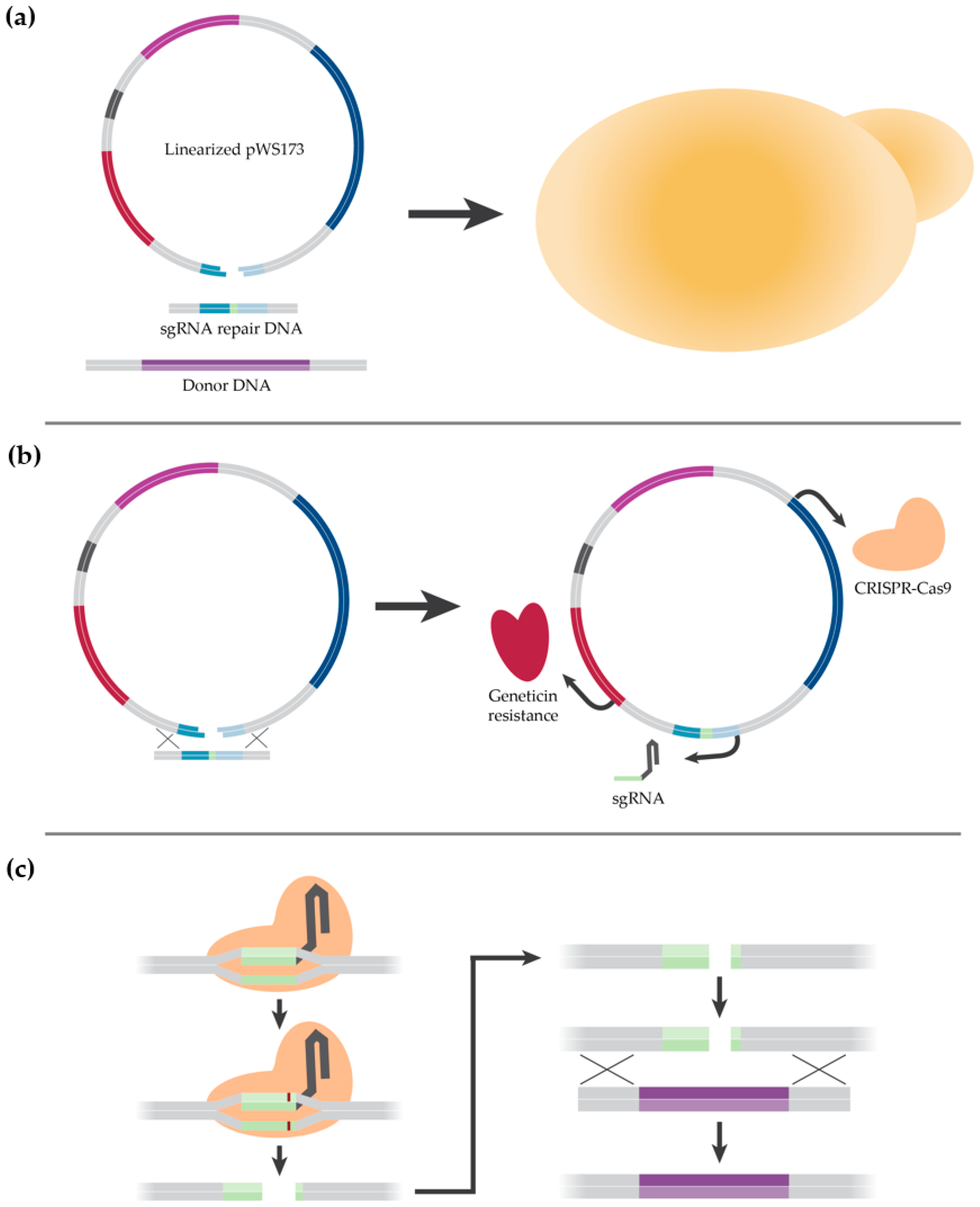 Fermentation 05 00093 g002