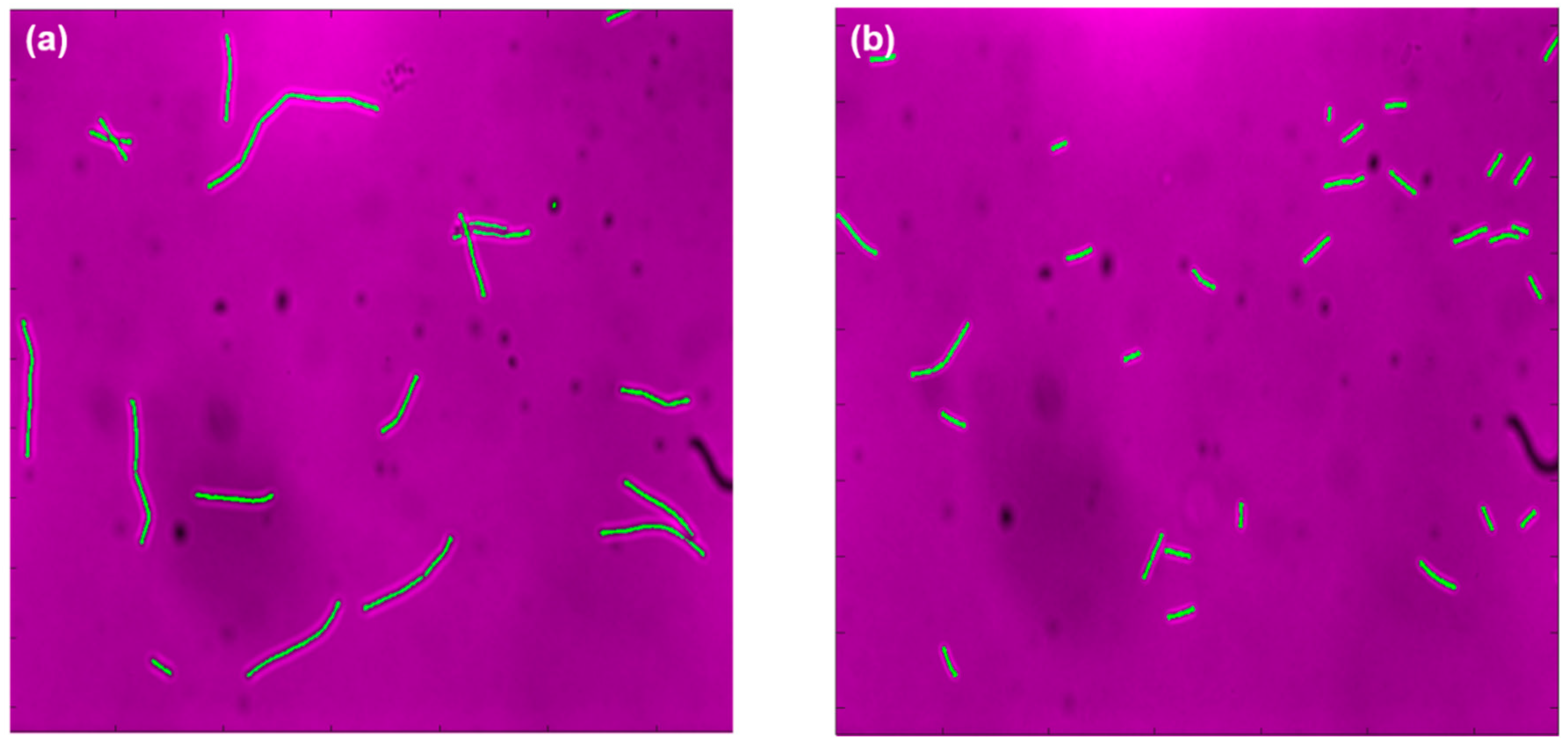 Fermentation 06 00010 g003