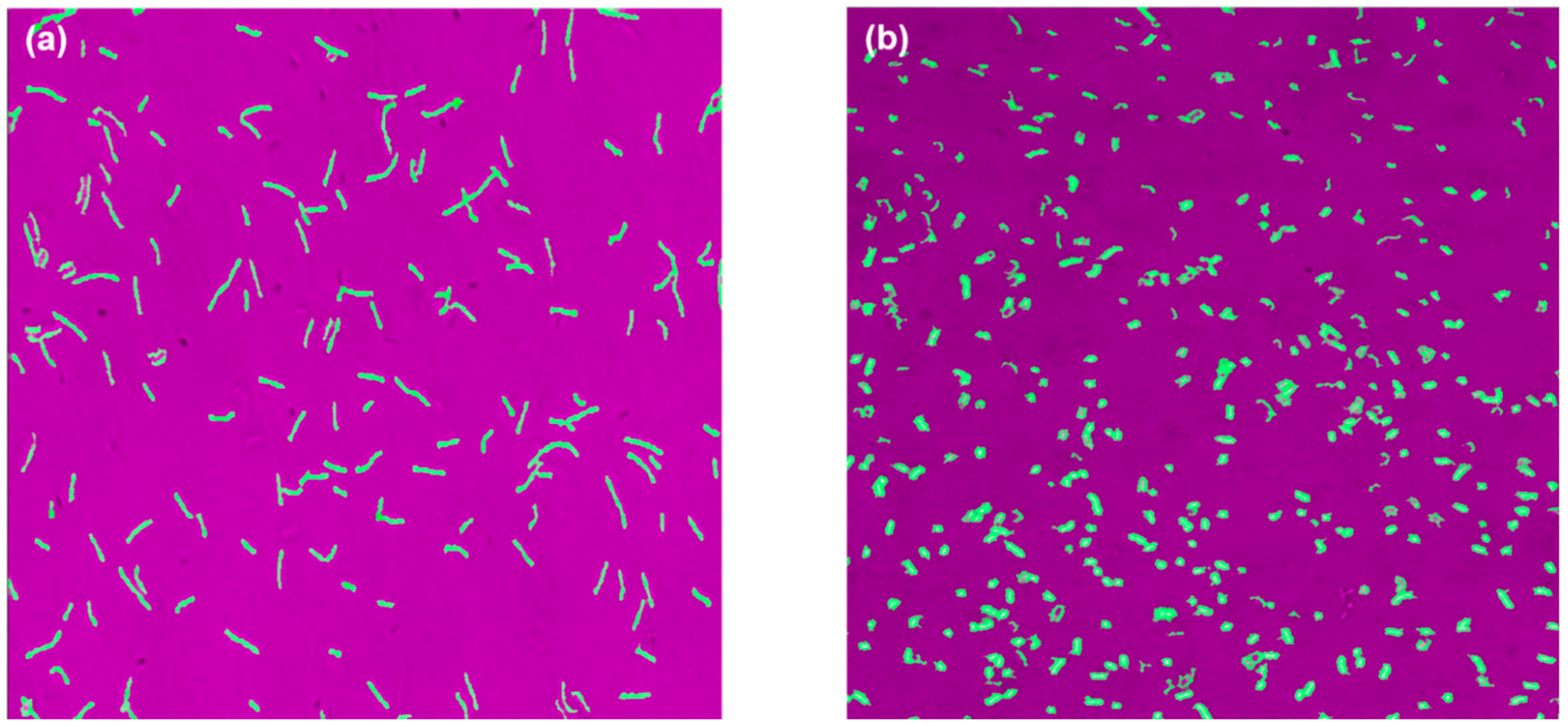 Fermentation 06 00010 g004