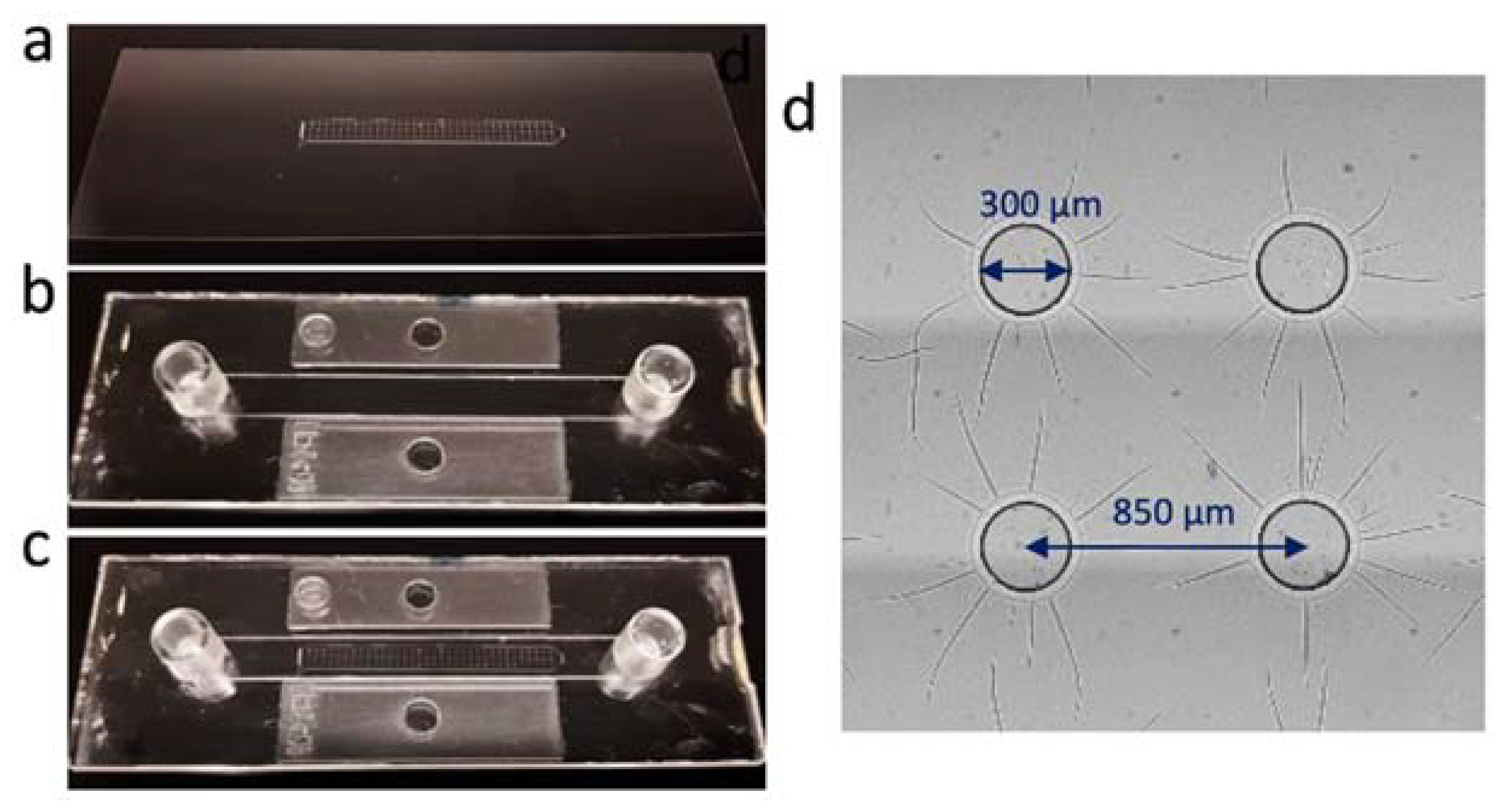 Fermentation 06 00026 g001 Fermentation 06 00026 g001