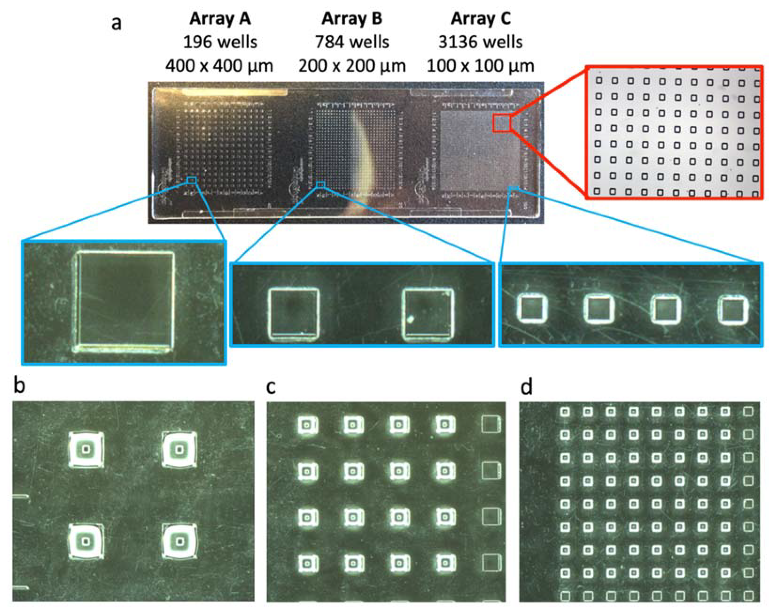 Fermentation 06 00026 g003 Fermentation 06 00026 g003