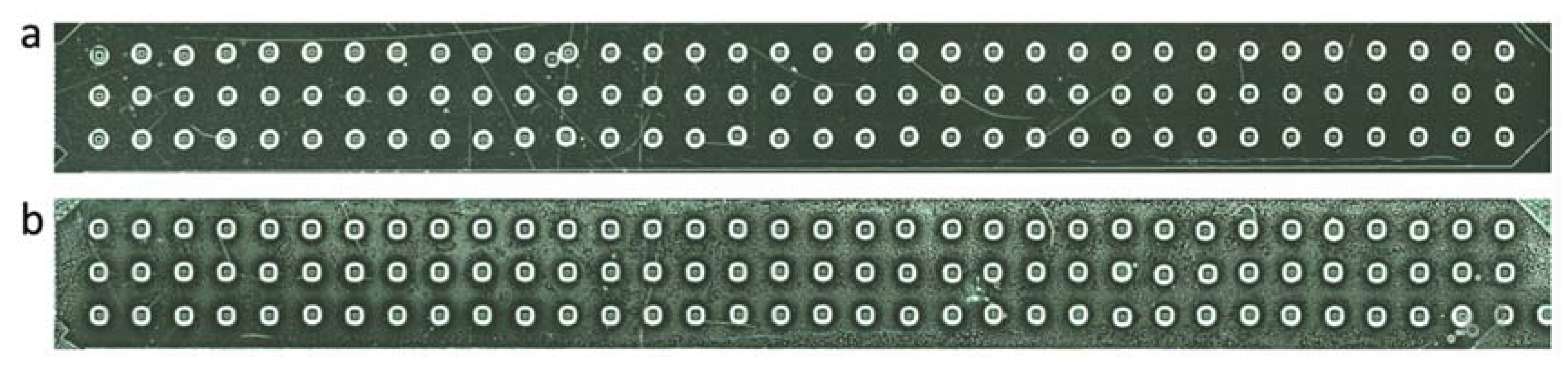 Fermentation 06 00026 g004 Fermentation 06 00026 g004