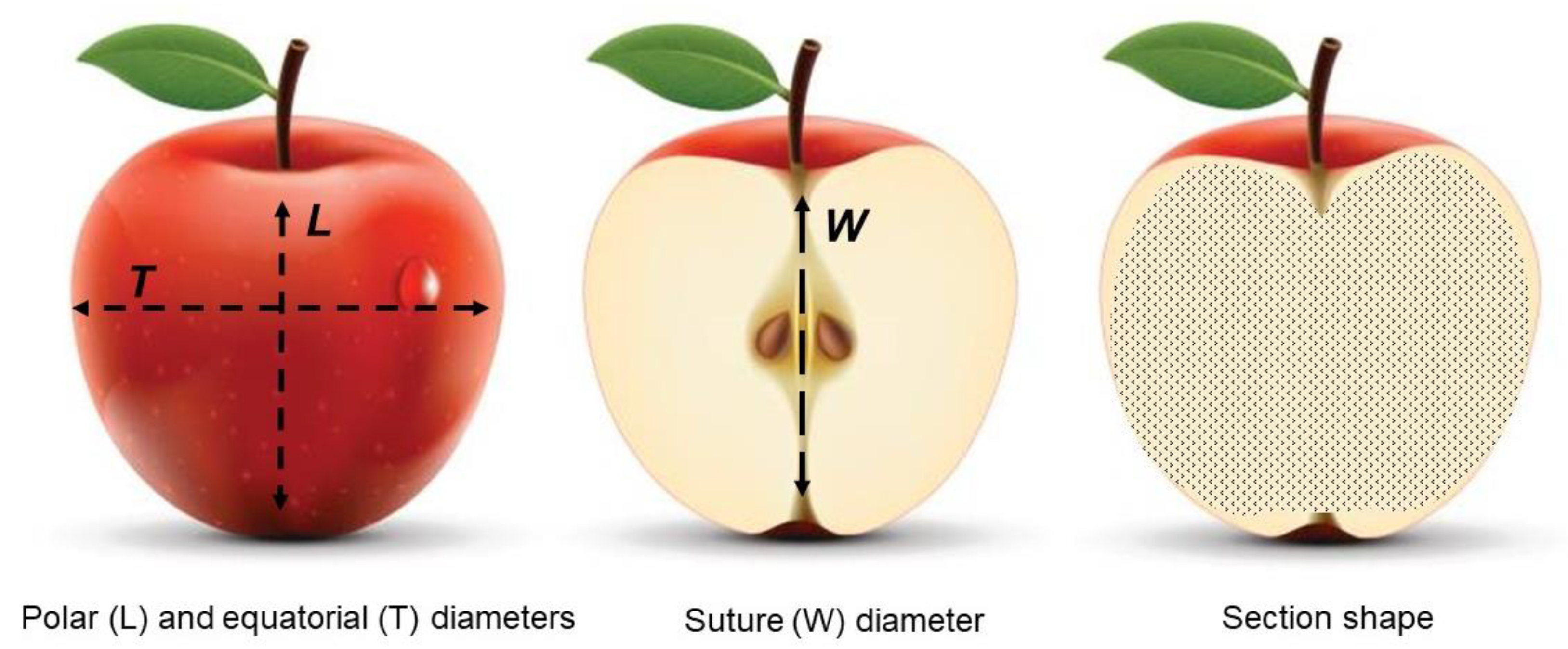 Fermentation 06 00032 g001