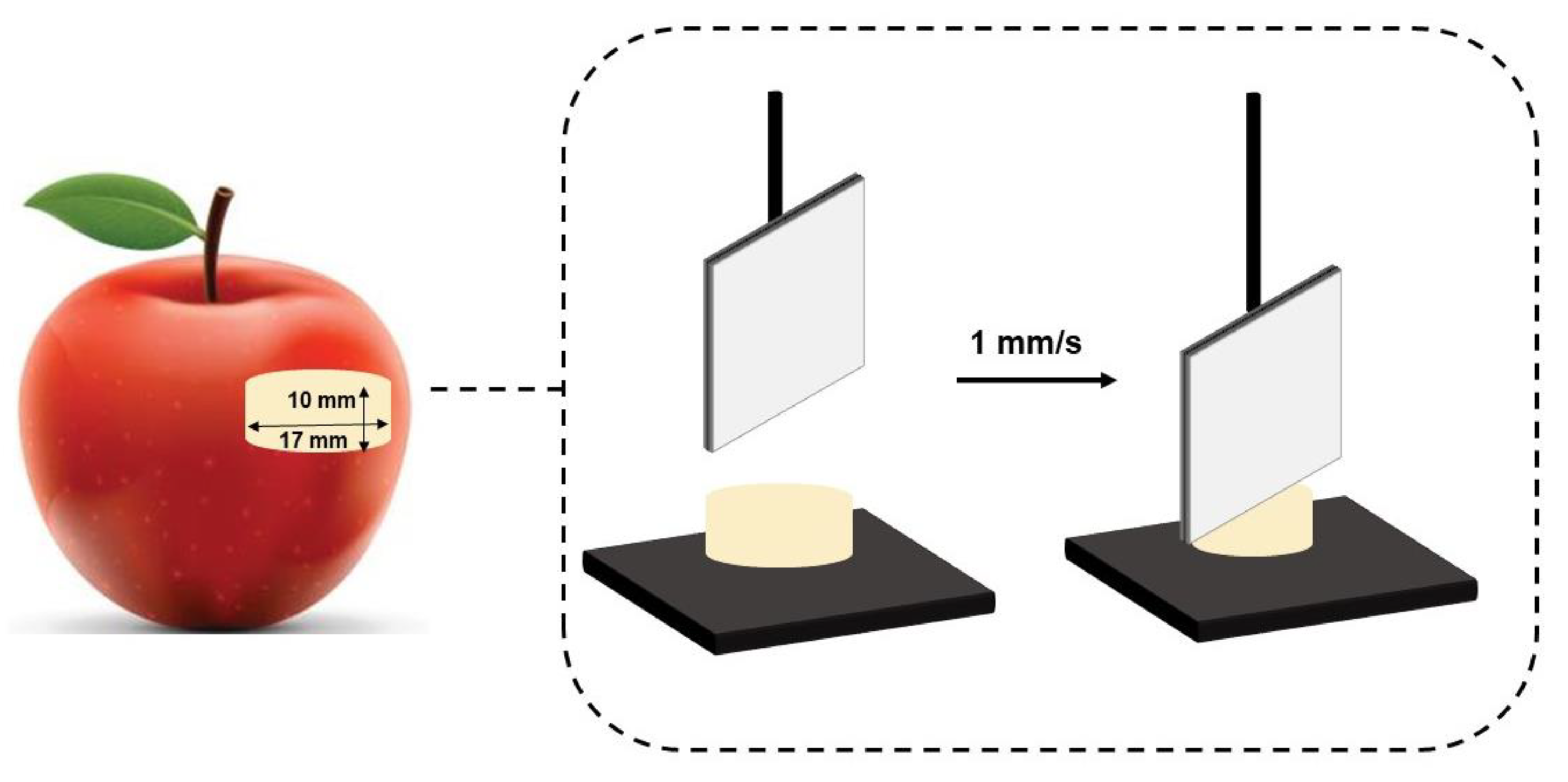 Fermentation 06 00032 g002
