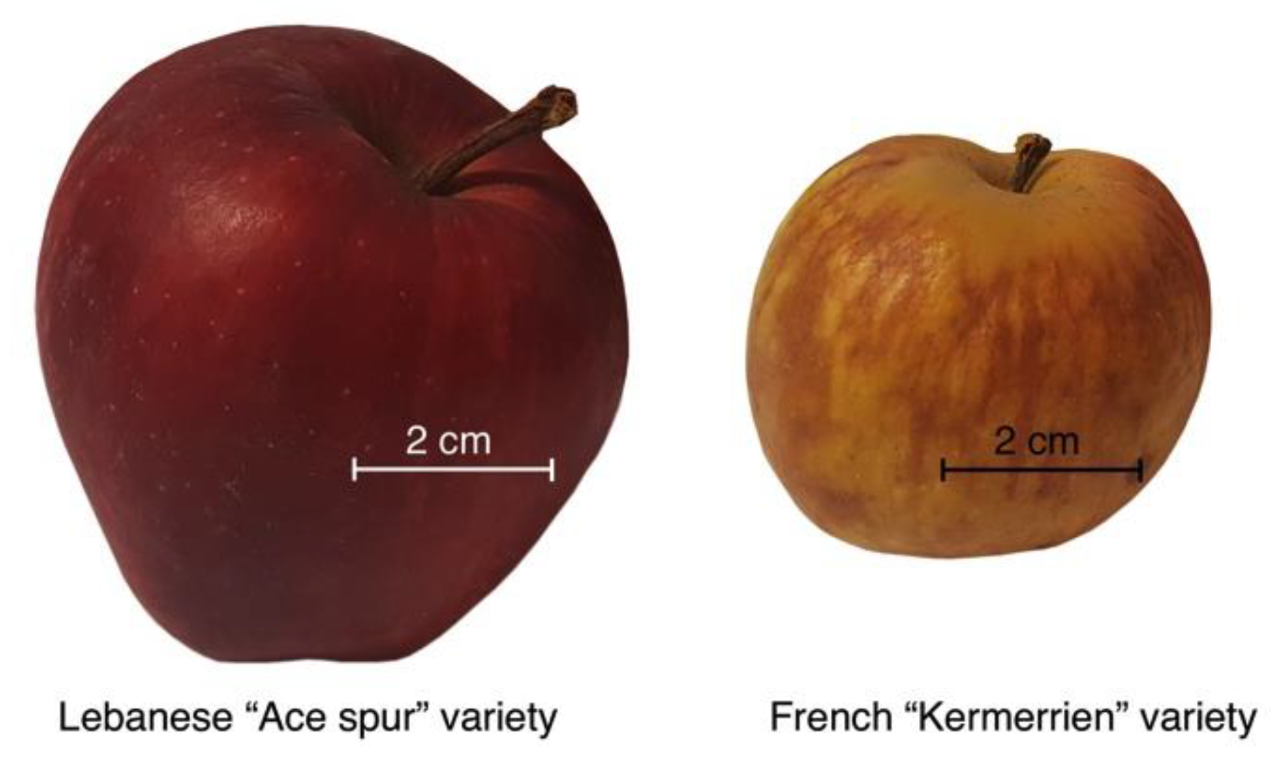Fermentation 06 00032 g003