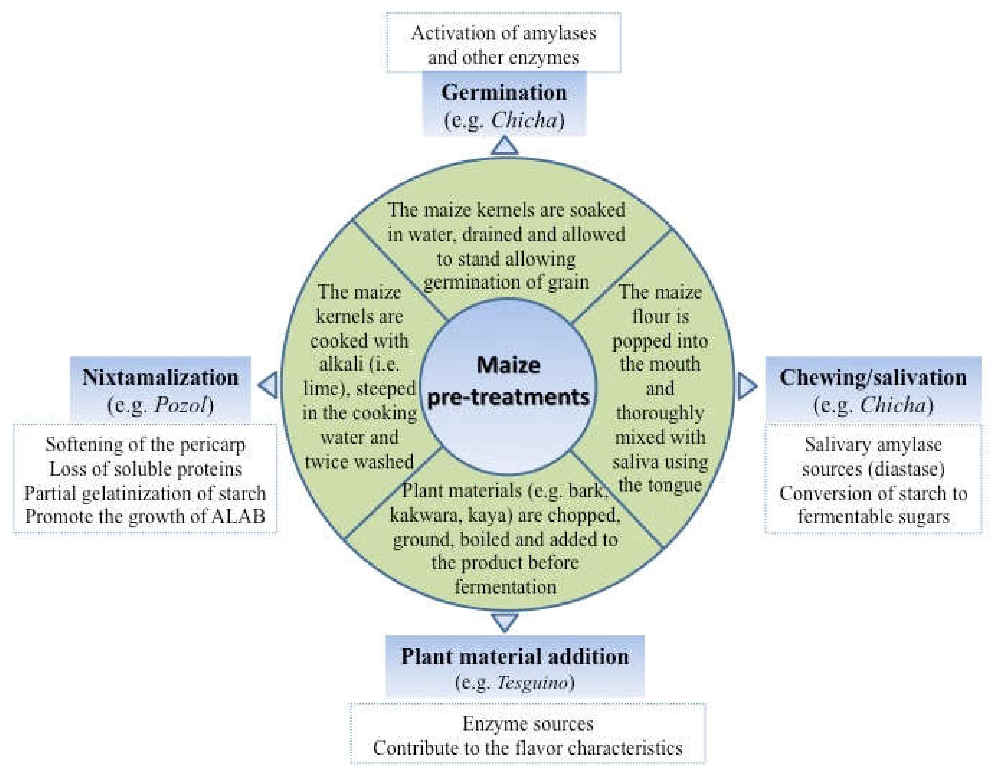 Fermentation 06 00036 g003
