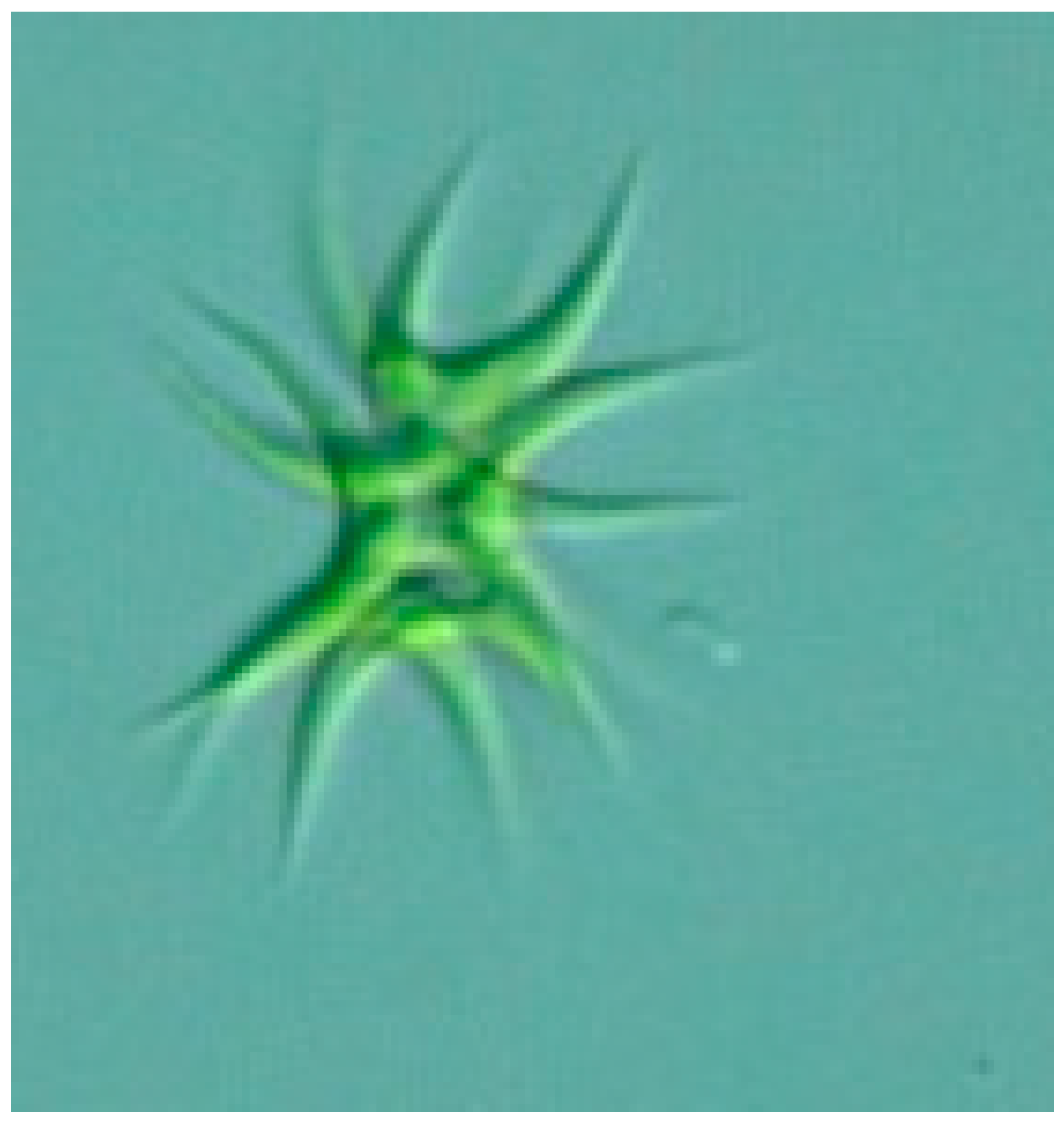 Fermentation 06 00046 g001