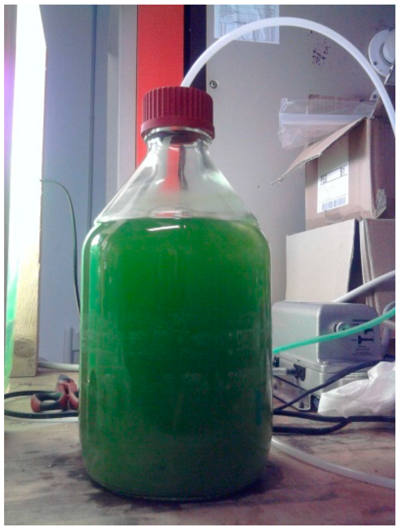 Fermentation 06 00046 g002