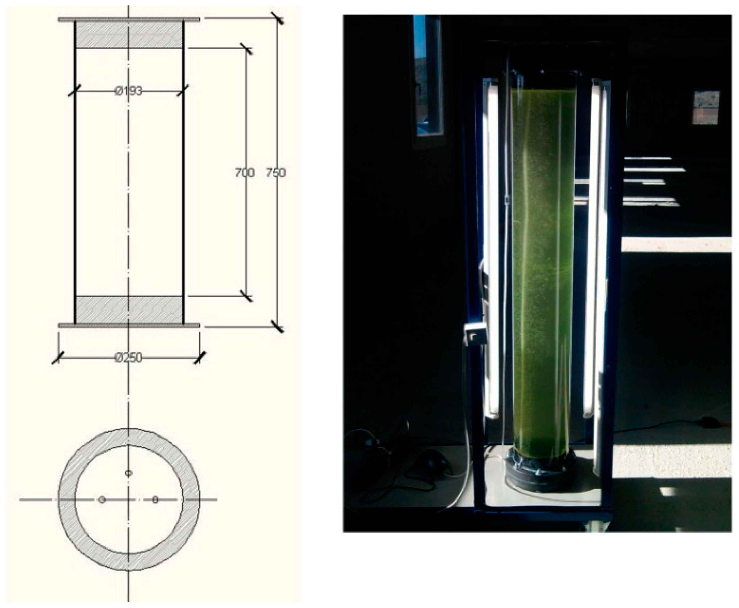 Fermentation 06 00046 g003
