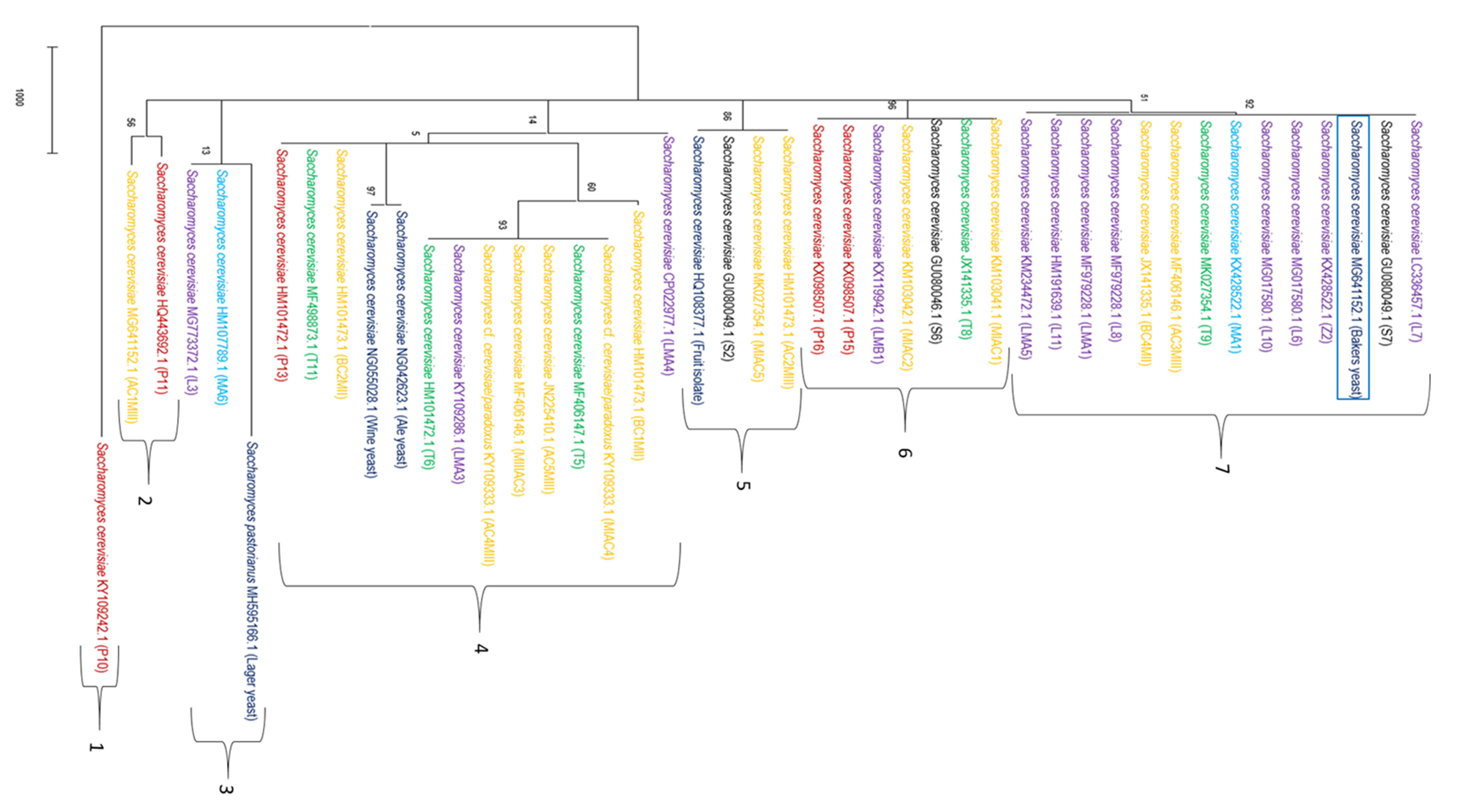 Fermentation 06 00051 g003 Fermentation 06 00051 g003