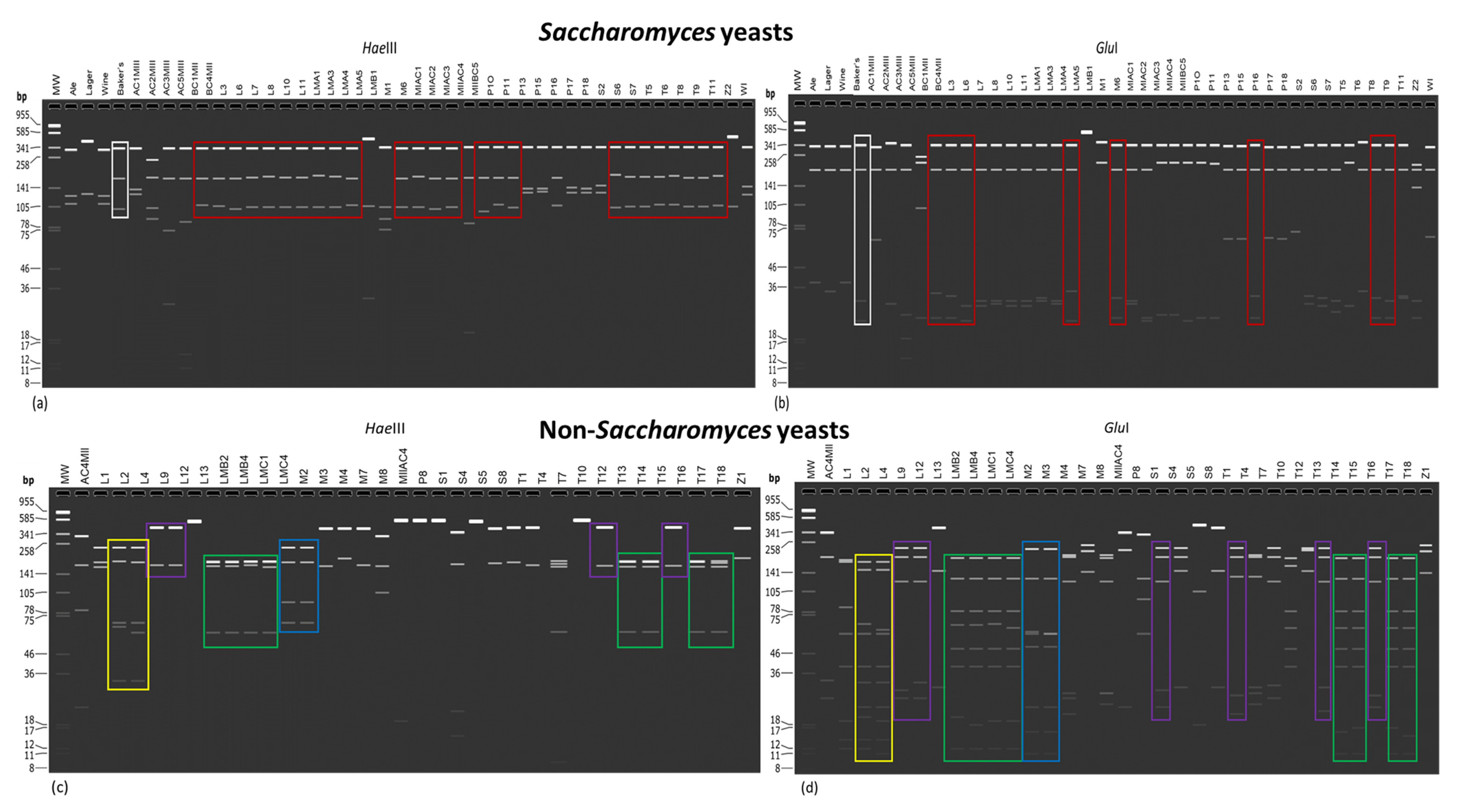 Fermentation 06 00051 g004 Fermentation 06 00051 g004