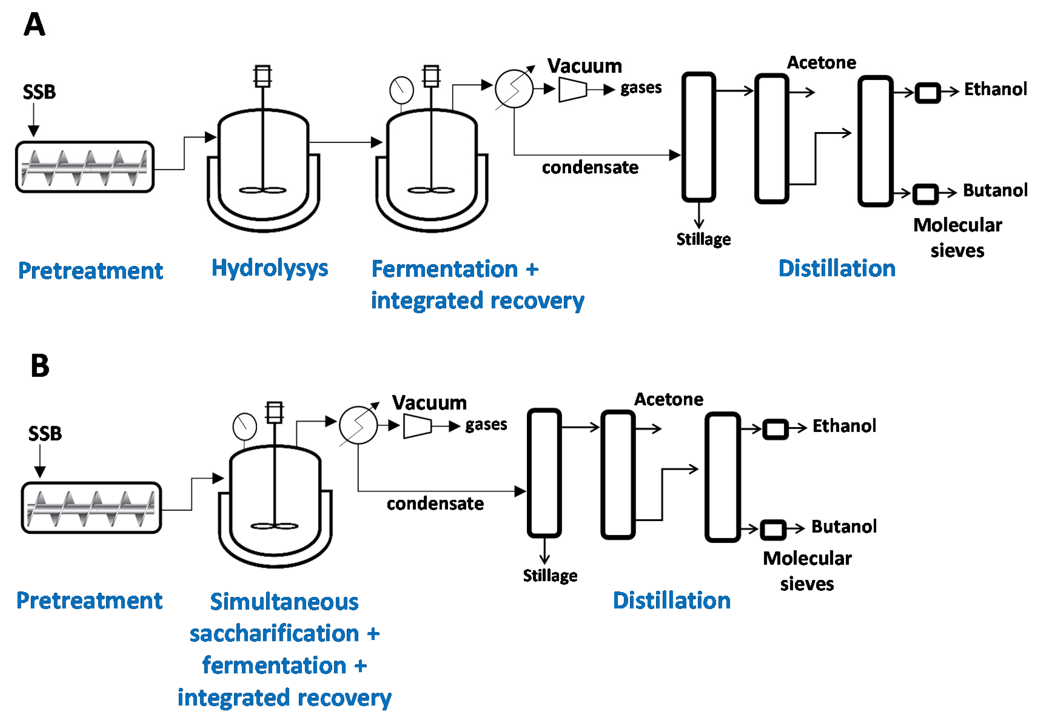 Fermentation 06 00058 g001