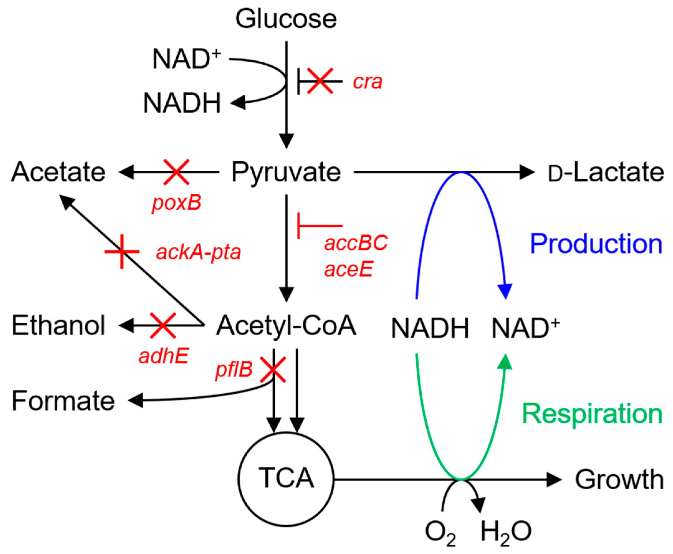 Fermentation 06 00070 g002 Fermentation 06 00070 g002