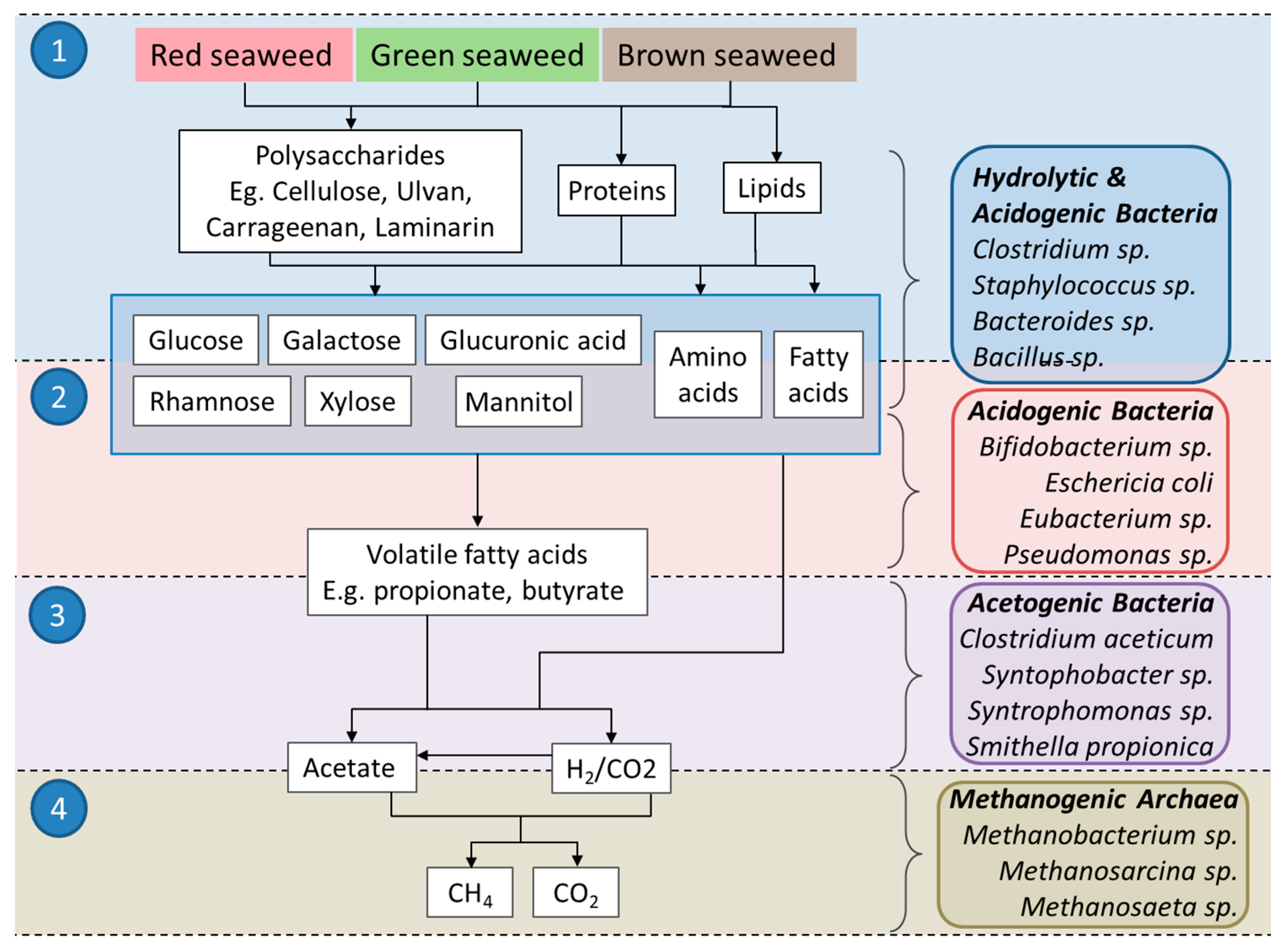 Fermentation 06 00085 g001