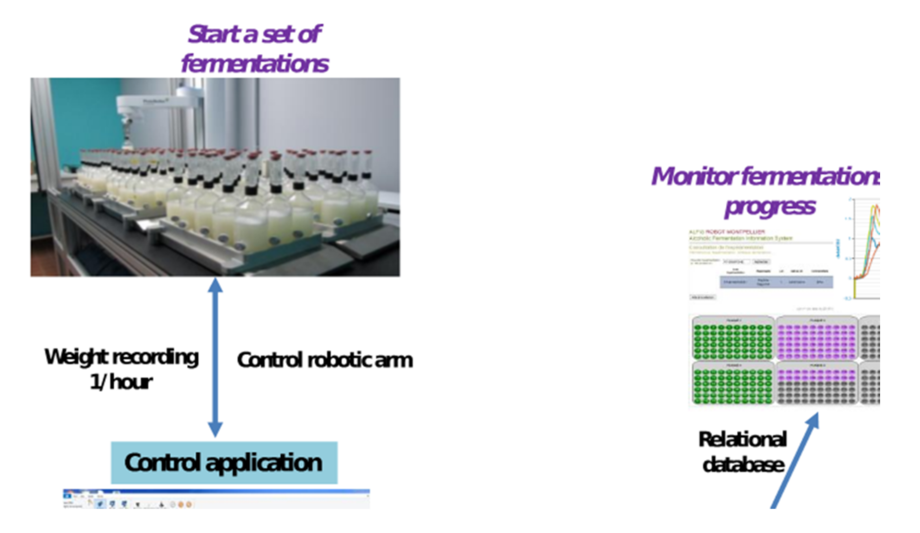 Fermentation 06 00098 g001