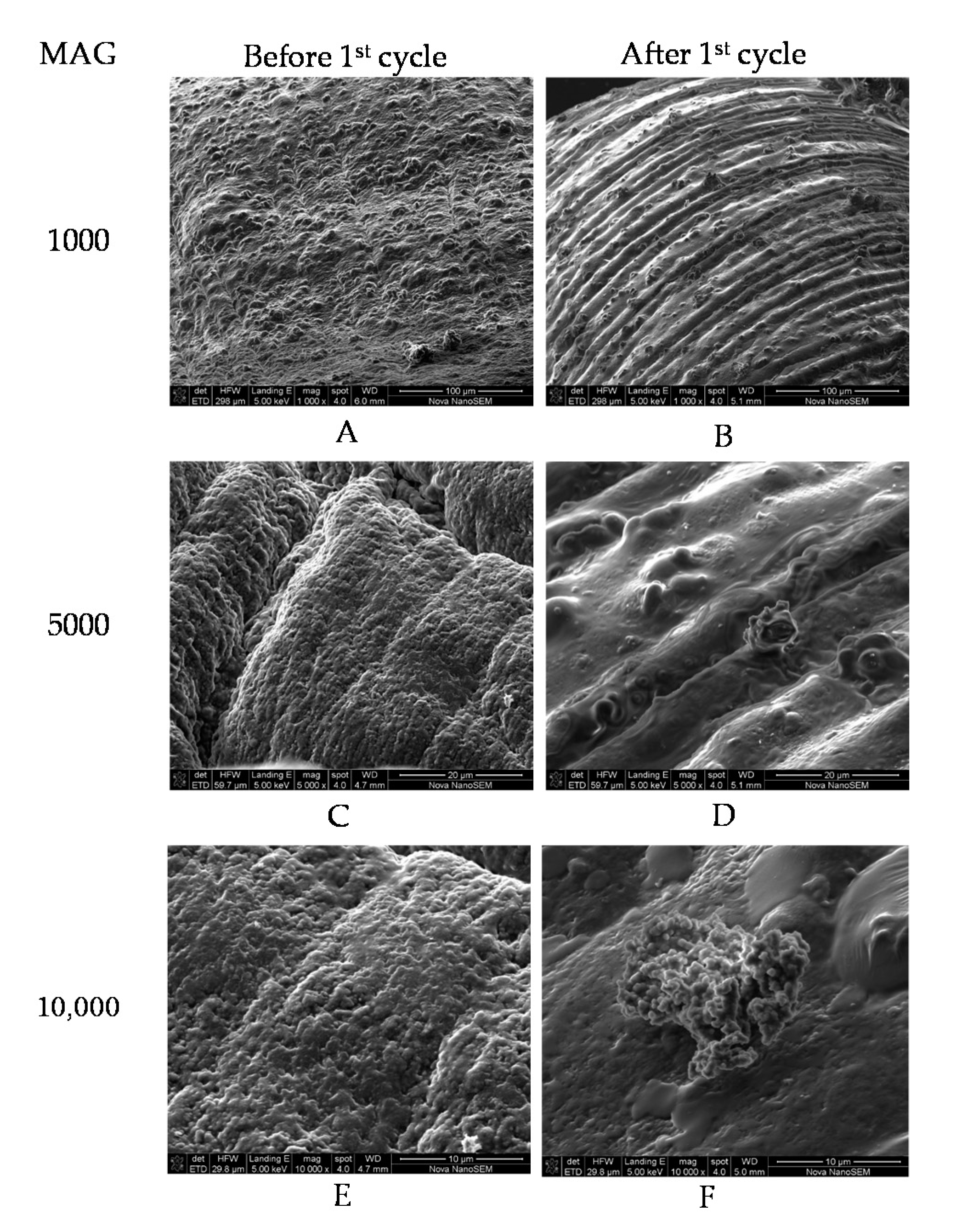 Fermentation 06 00103 g003 Fermentation 06 00103 g003