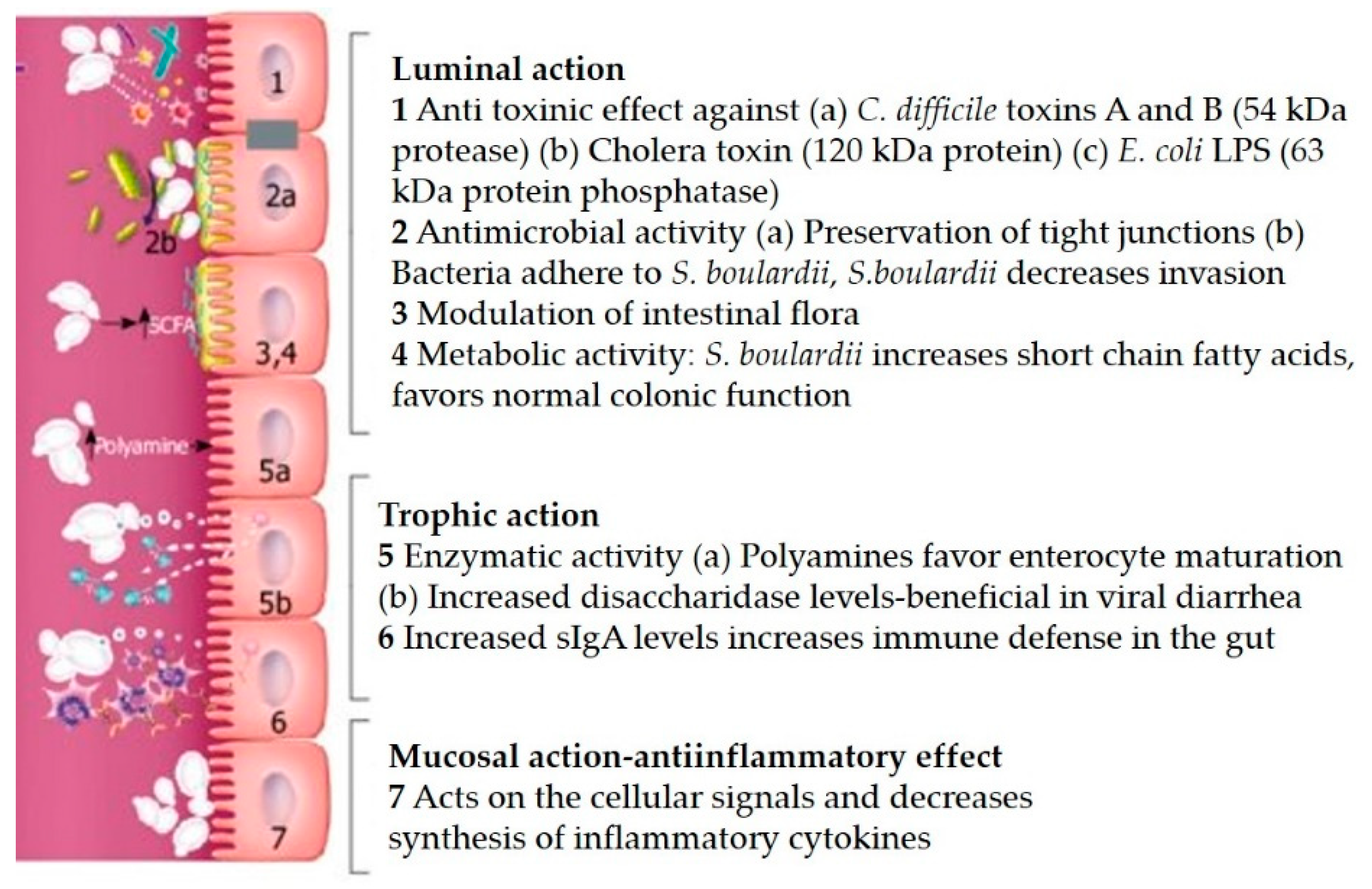 Fermentation 06 00113 g003