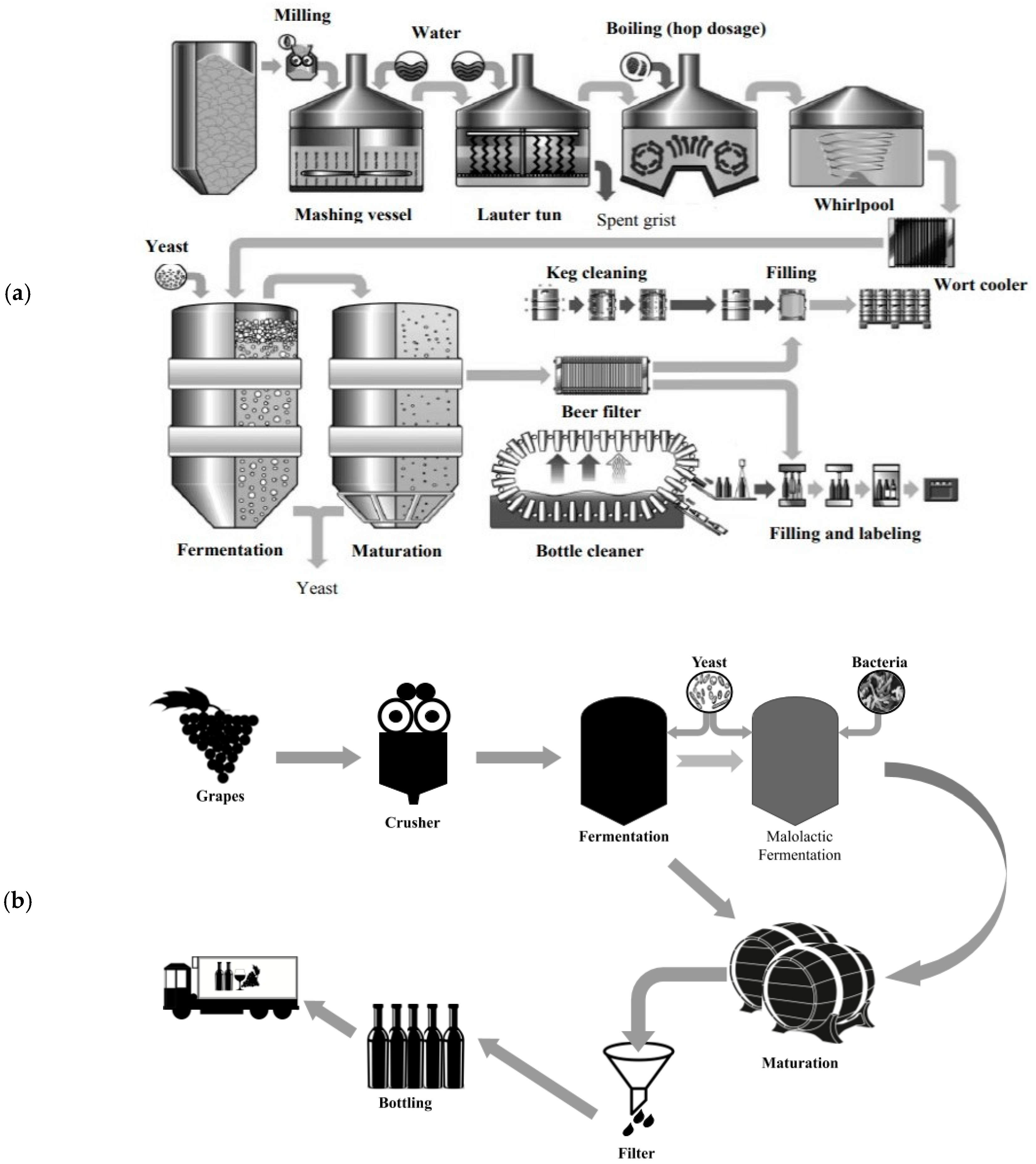 Fermentation 06 00116 g001