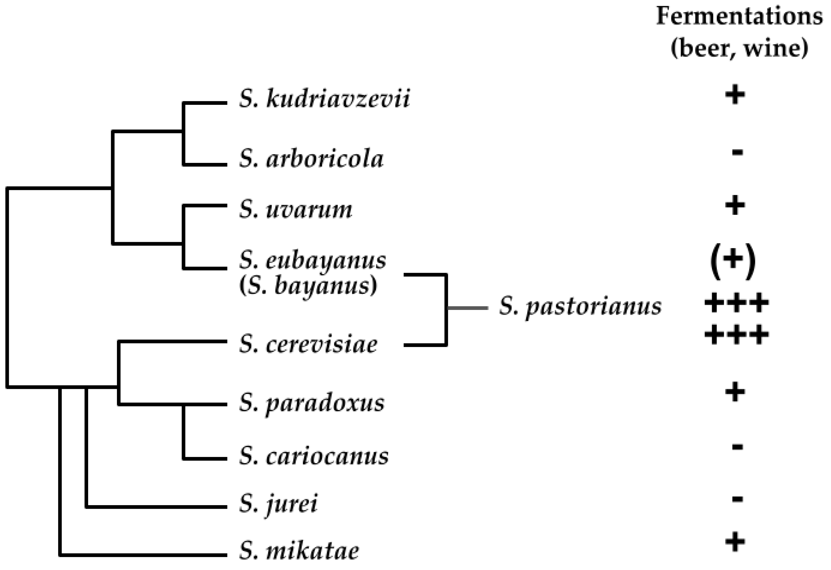 Fermentation 06 00116 g003