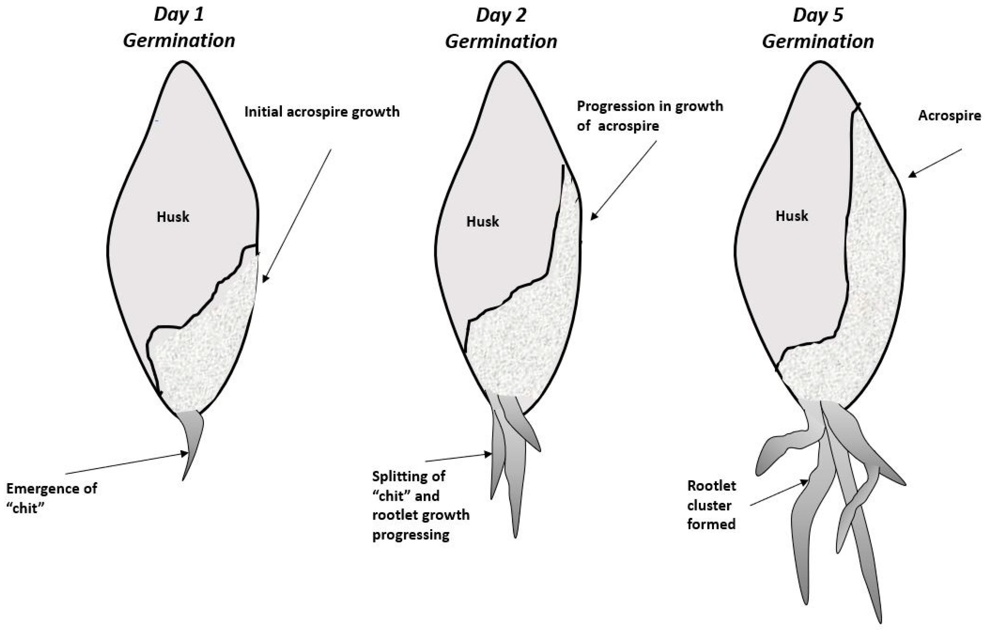 Fermentation 06 00117 g002 Fermentation 06 00117 g002