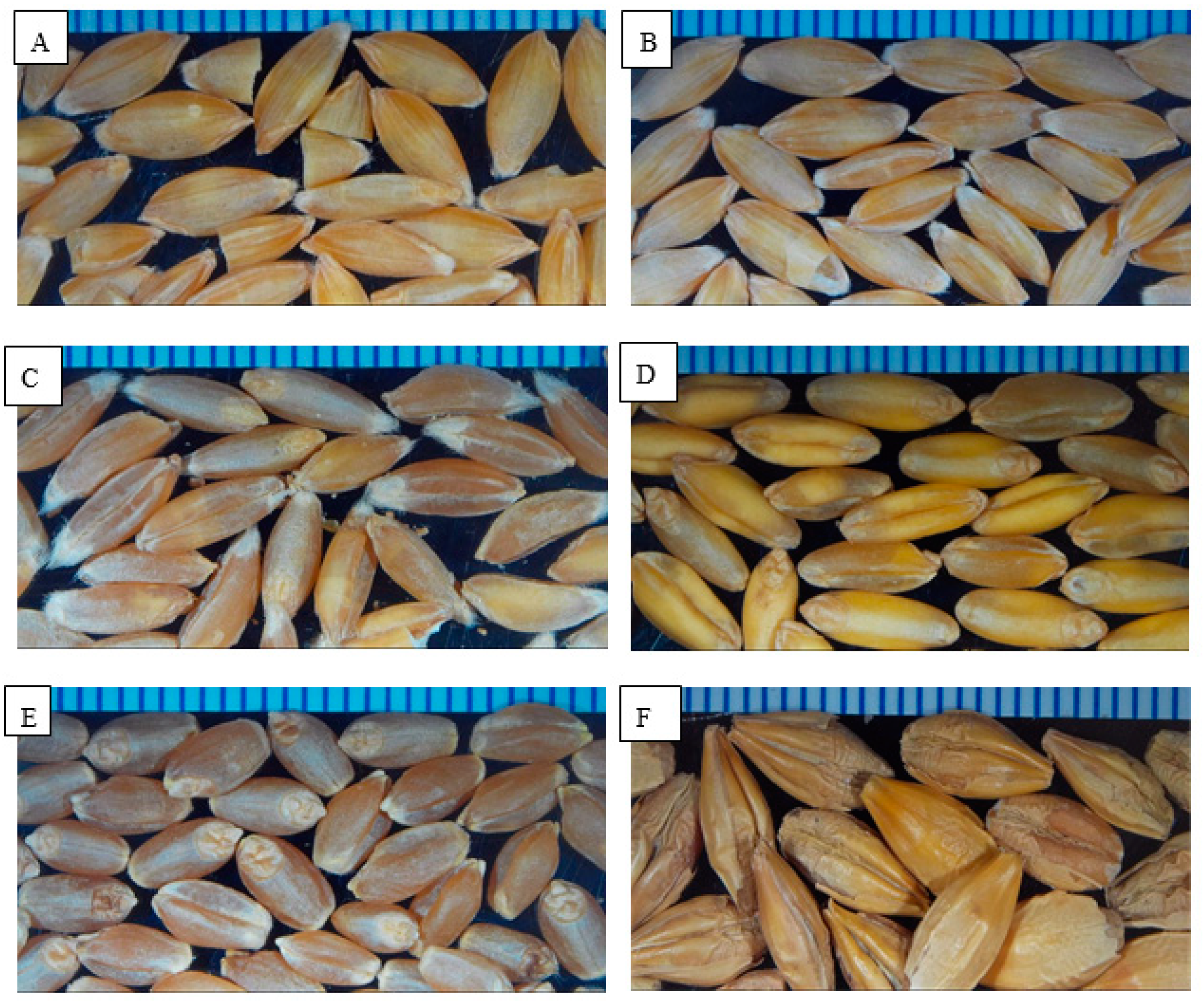 Fermentation 06 00125 g001