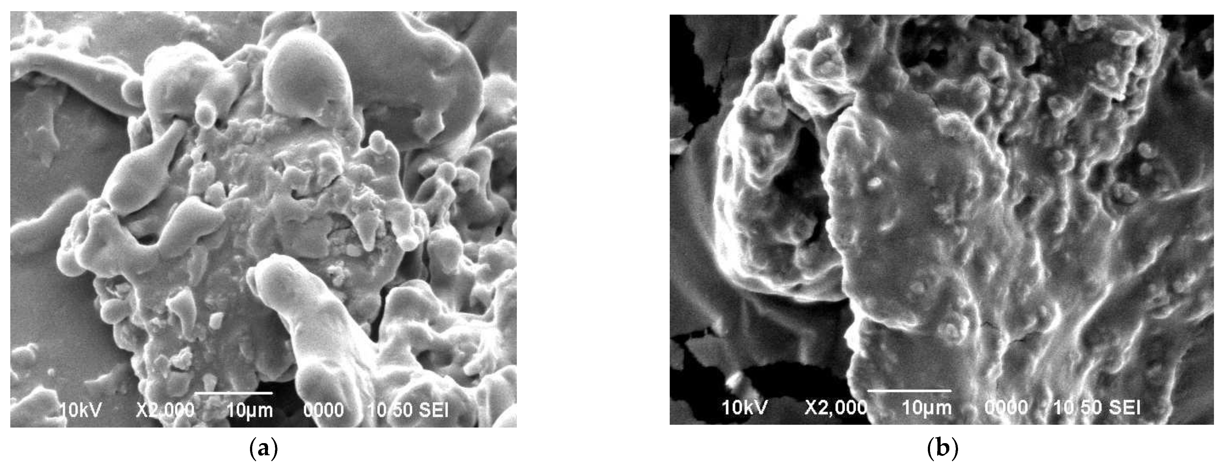 Fermentation 07 00033 g004
