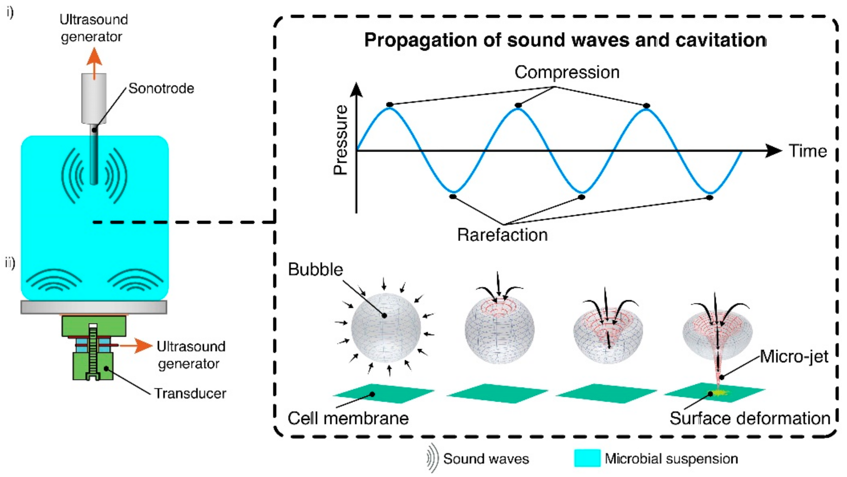 Fermentation 07 00036 g003