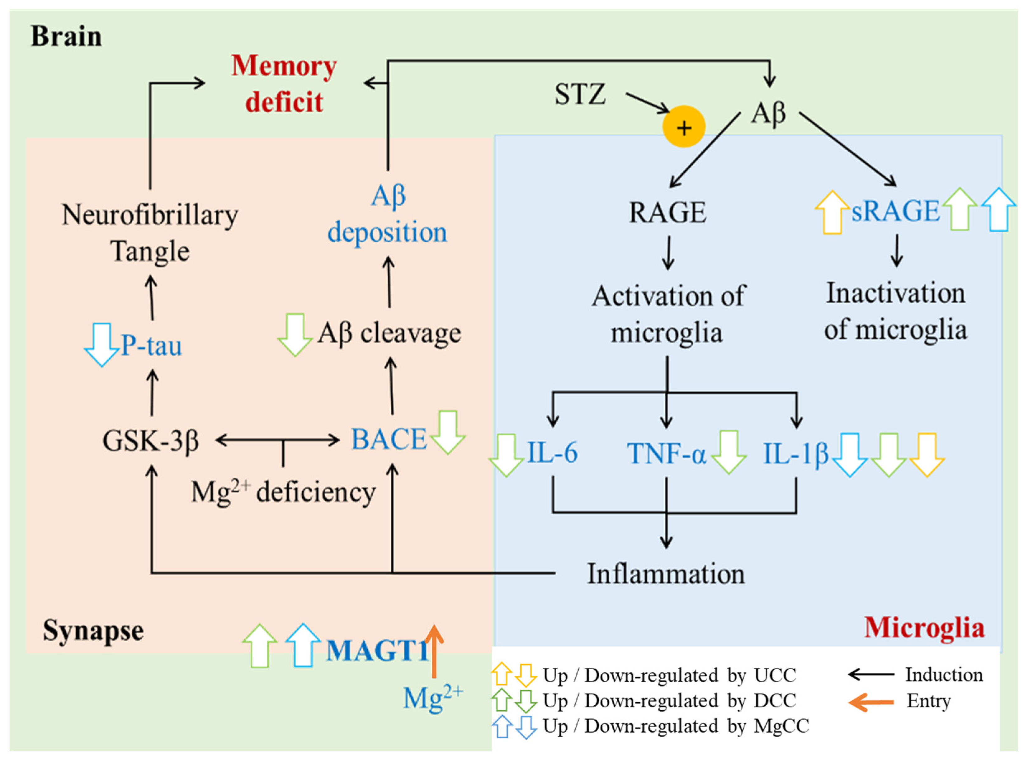 Fermentation 07 00039 g007