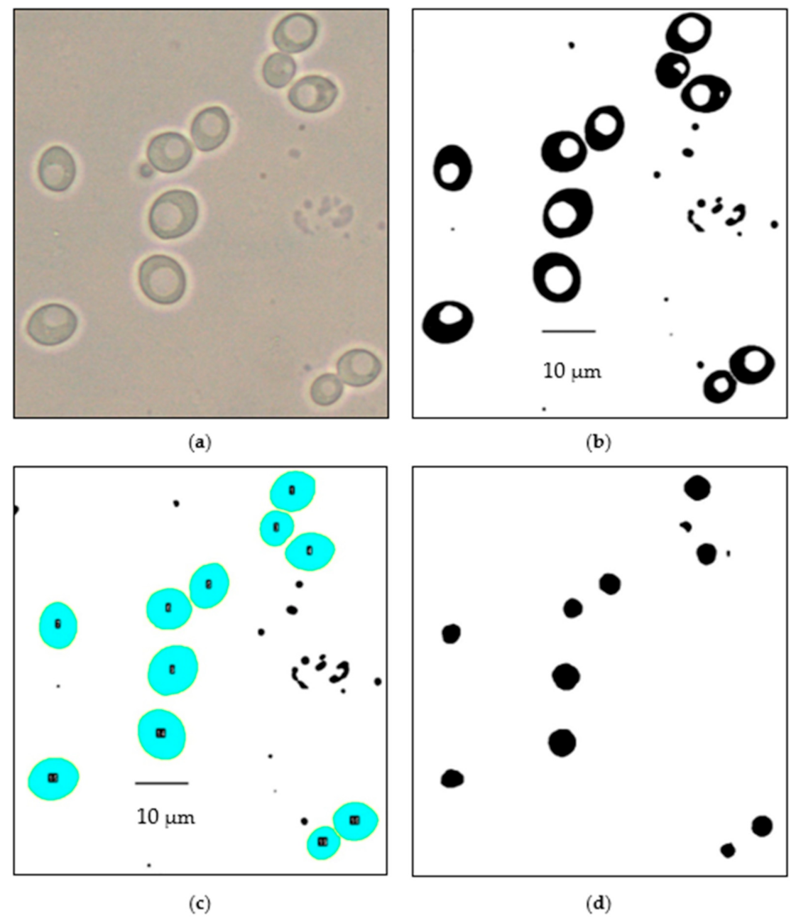 Fermentation 07 00044 g002 Fermentation 07 00044 g002