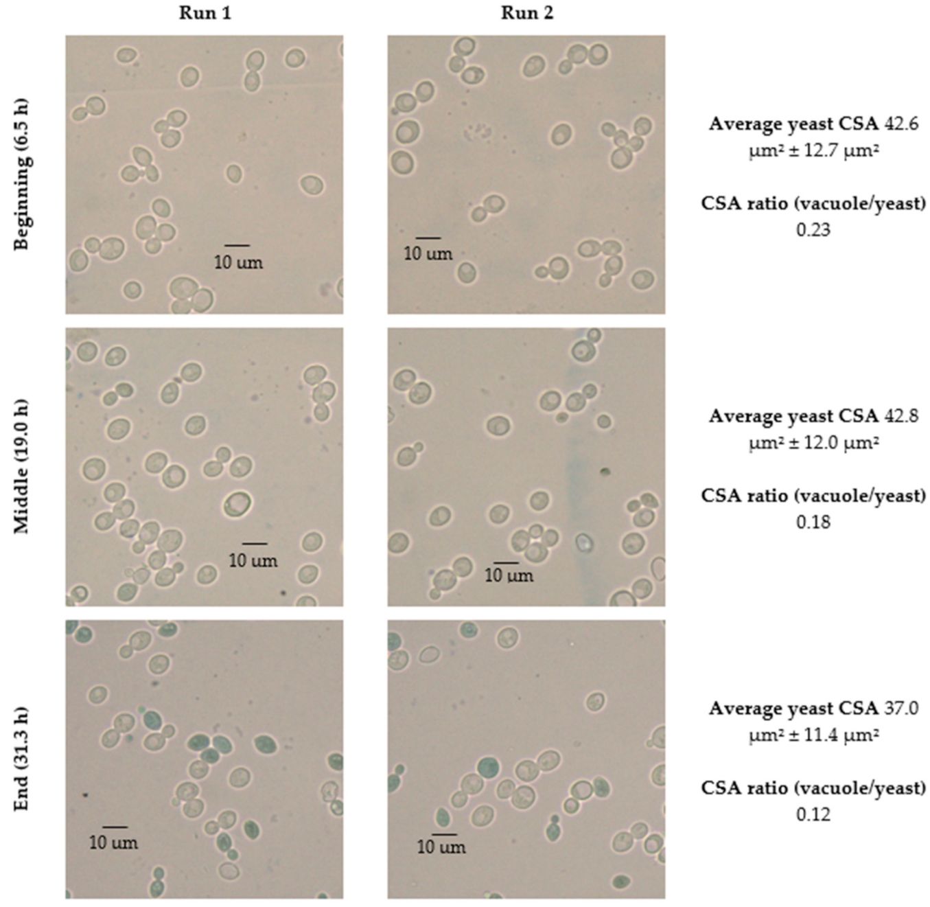 Fermentation 07 00044 g006 Fermentation 07 00044 g006