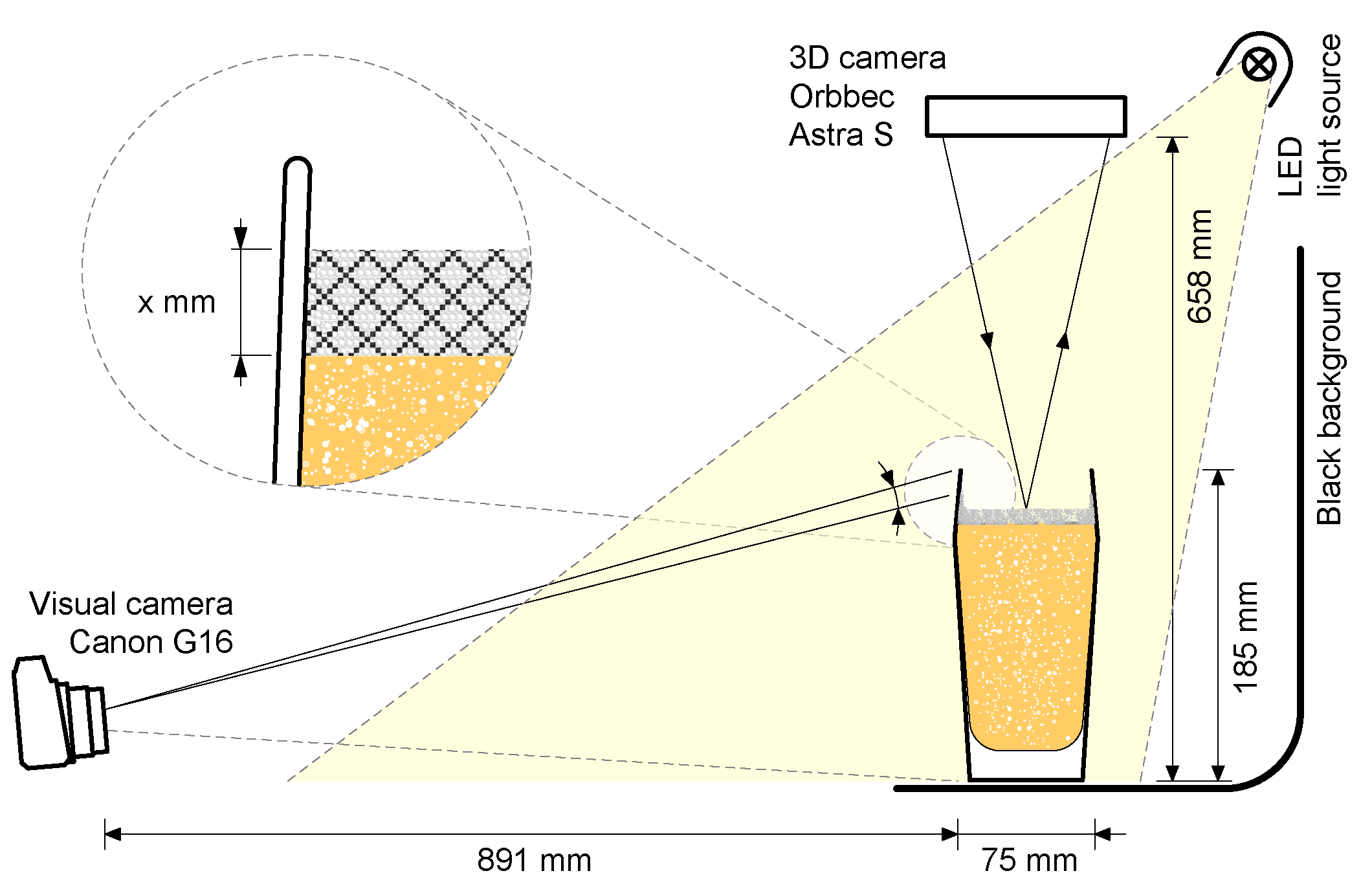 Fermentation 07 00046 g001