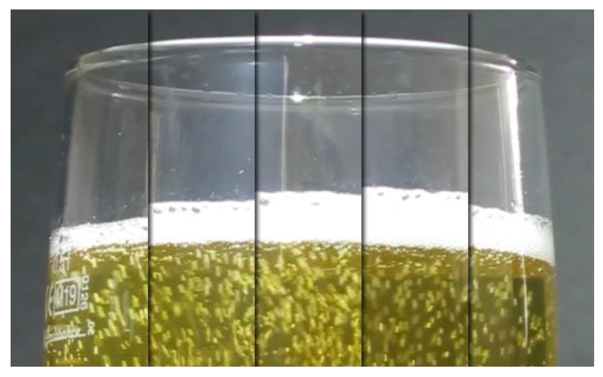 Fermentation 07 00046 g006