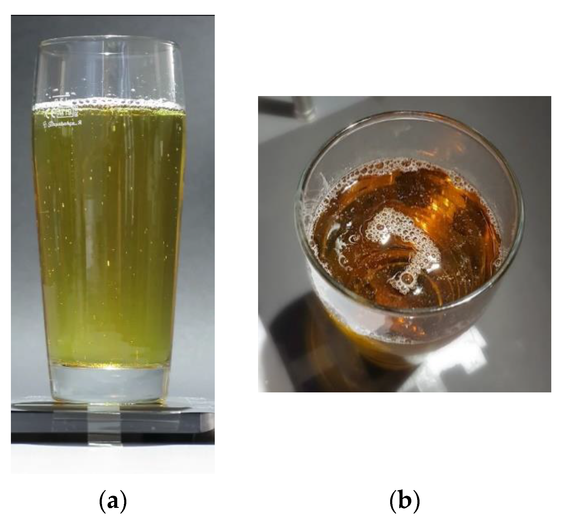 Fermentation 07 00046 g008