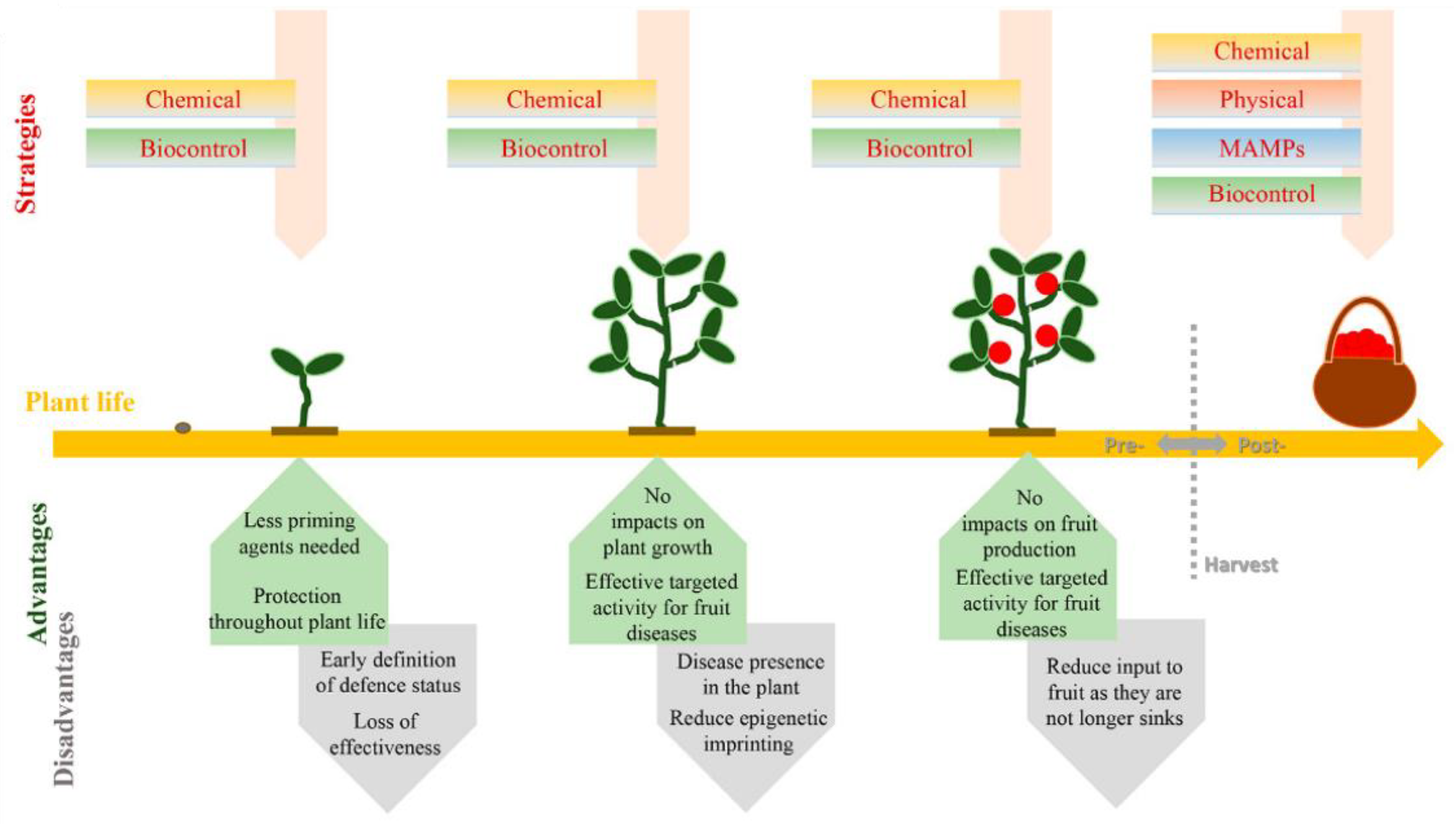 Fermentation 07 00060 g001