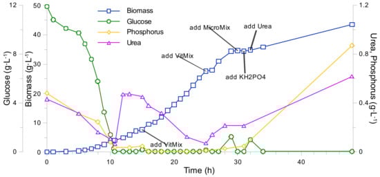 Fermentation 07 00062 g0a2