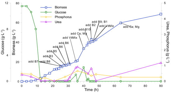 Fermentation 07 00062 g0a3