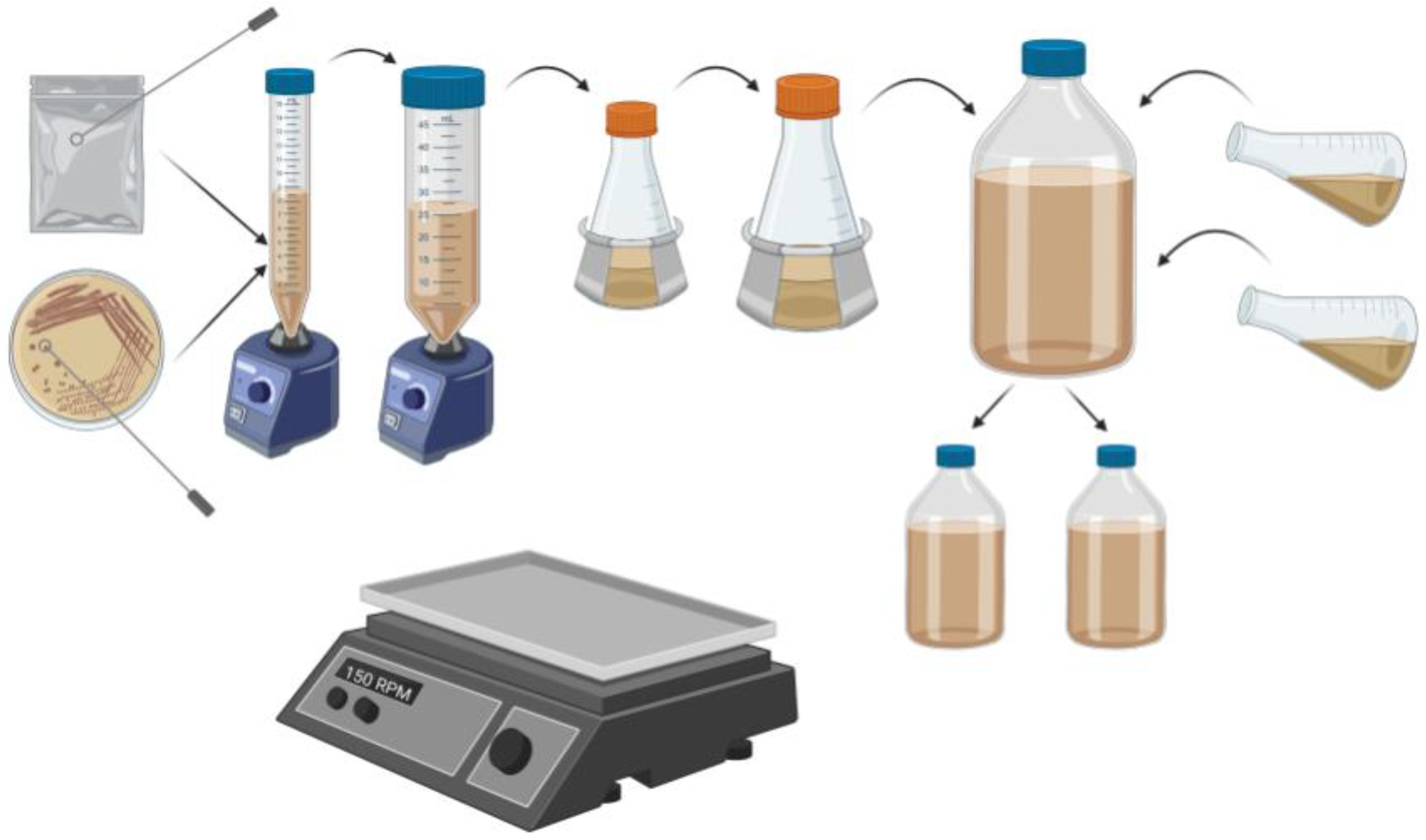 Fermentation 07 00066 g002