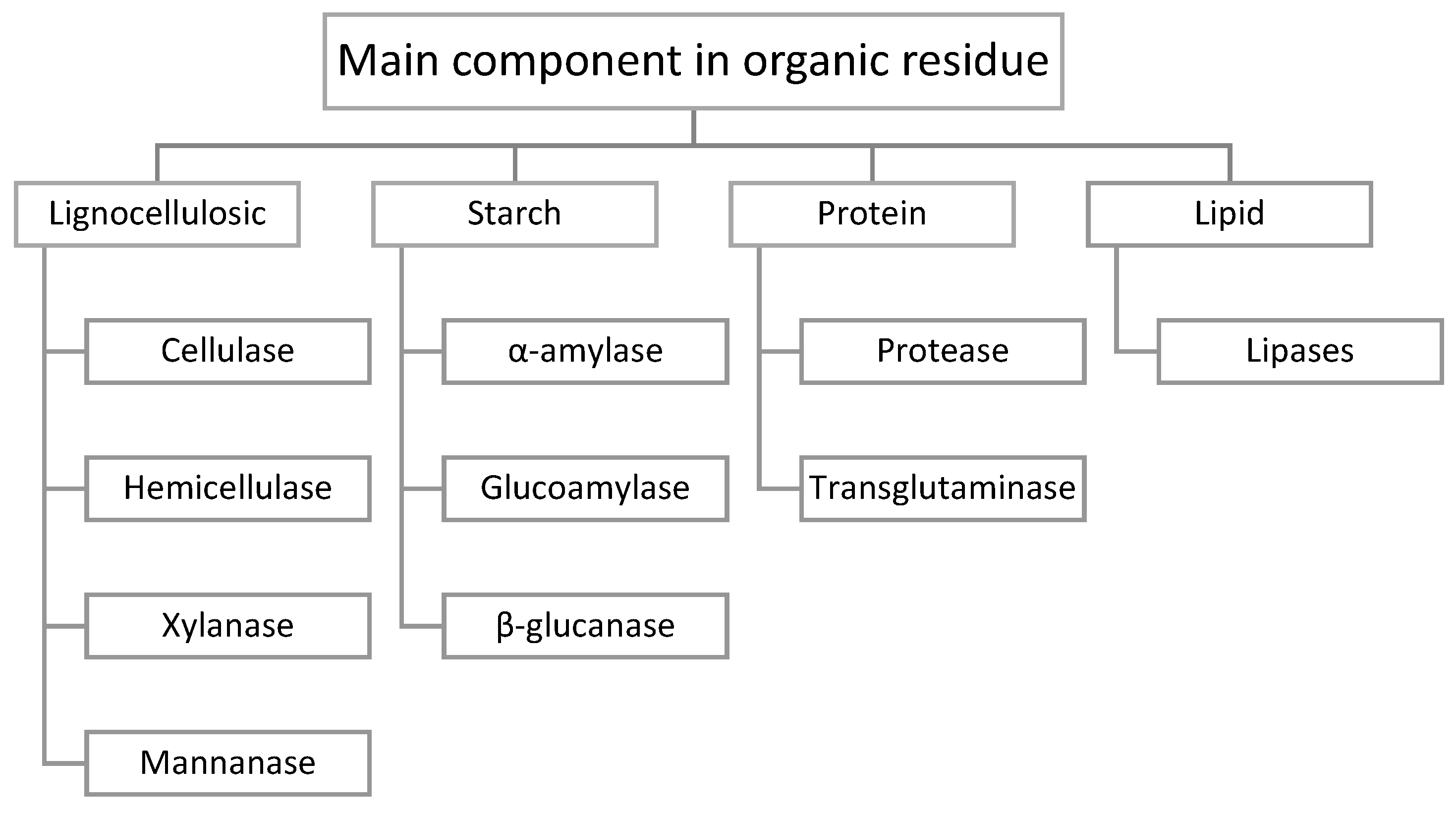 Fermentation 07 00076 g002