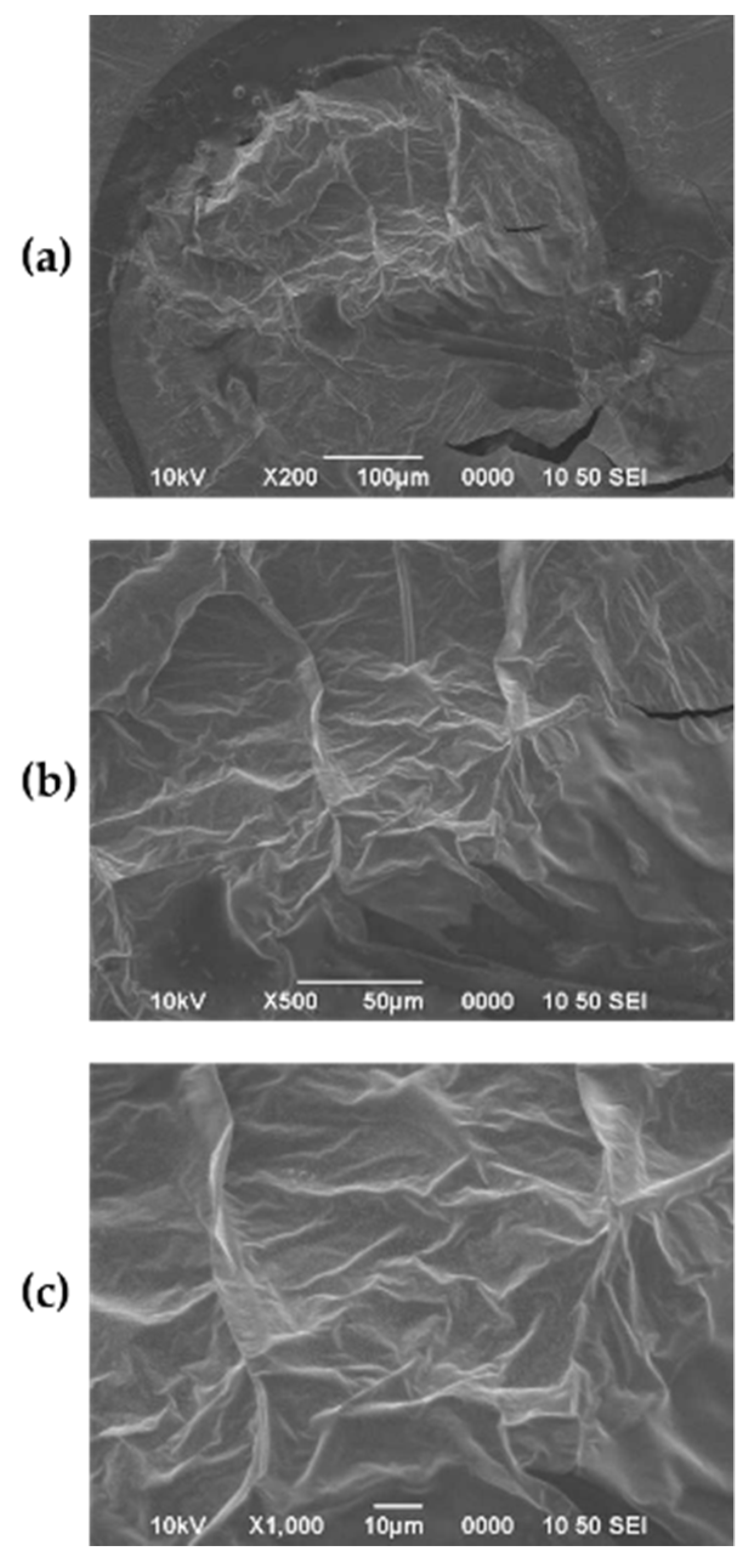 Fermentation 07 00084 g005