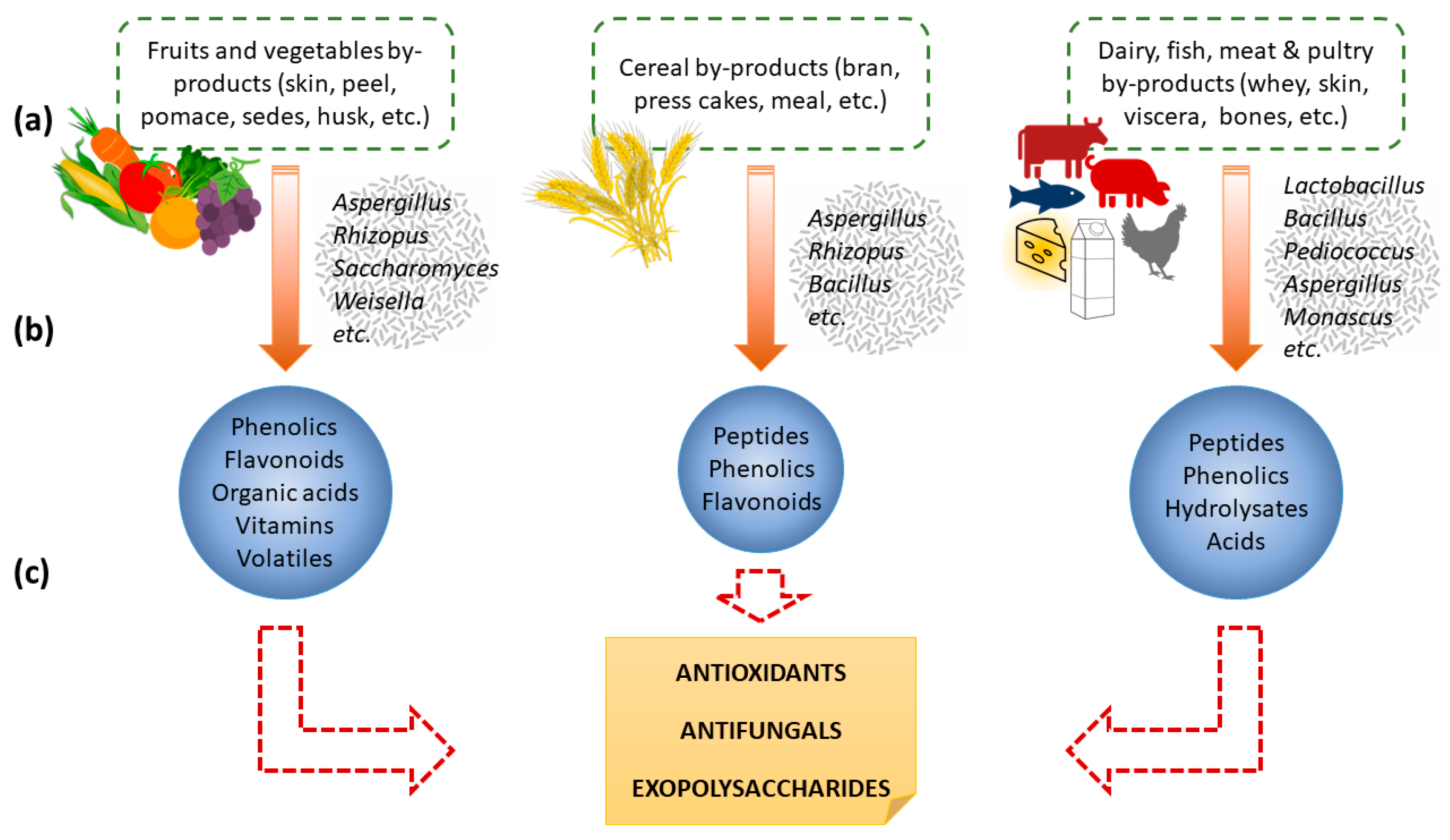 Fermentation 07 00106 g002