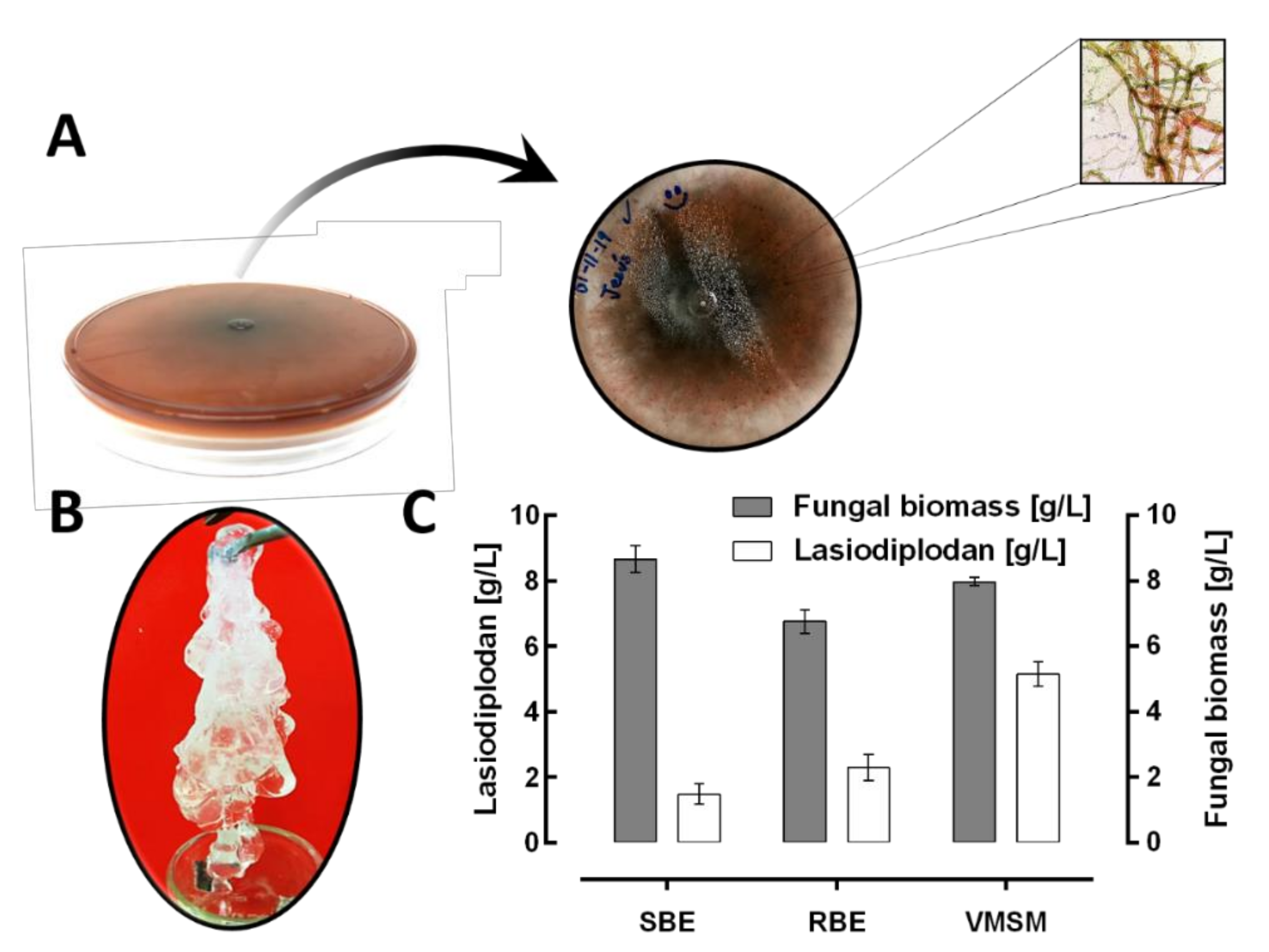 Fermentation 07 00108 g001