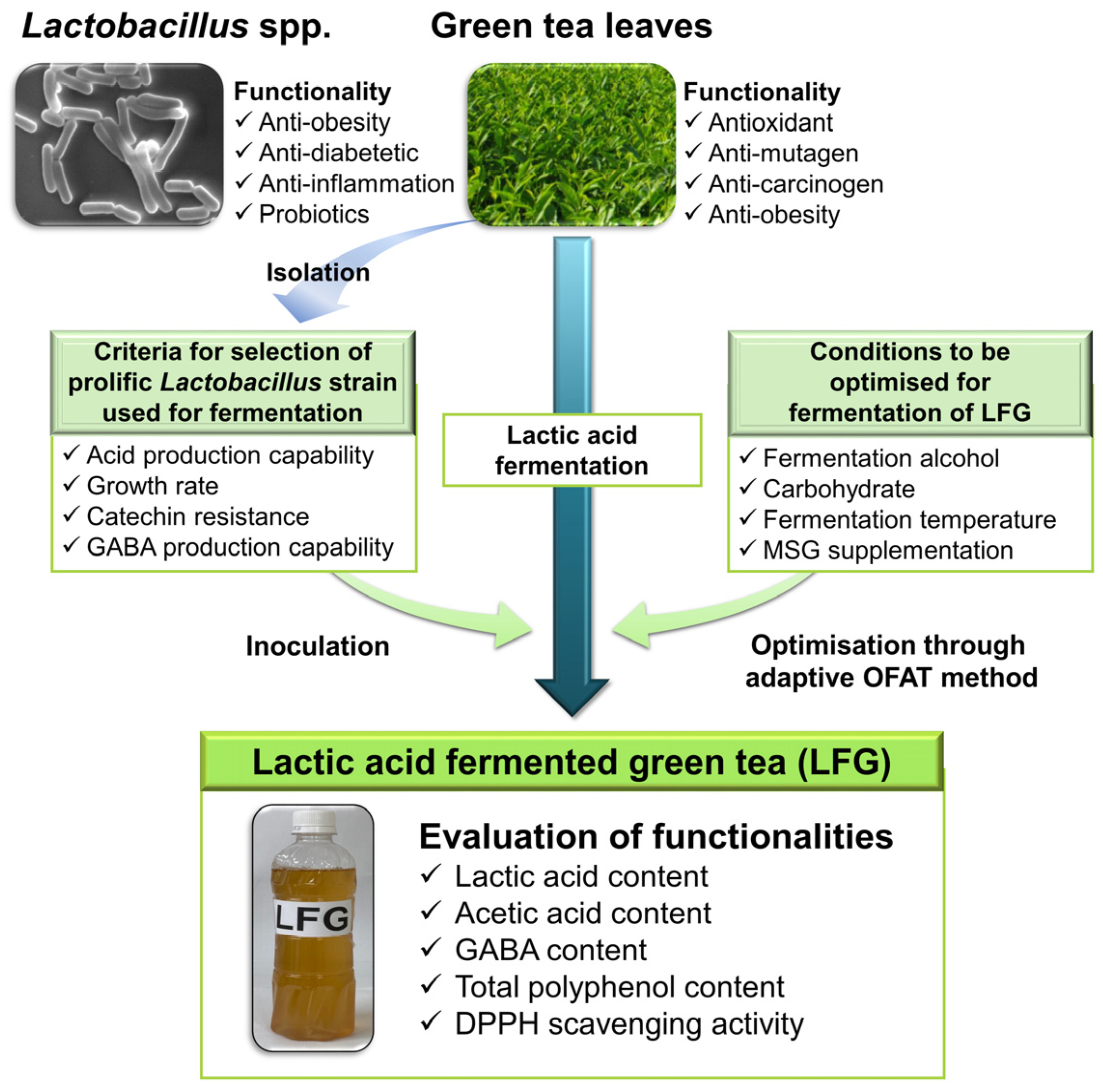 Fermentation 07 00110 g001 Fermentation 07 00110 g001