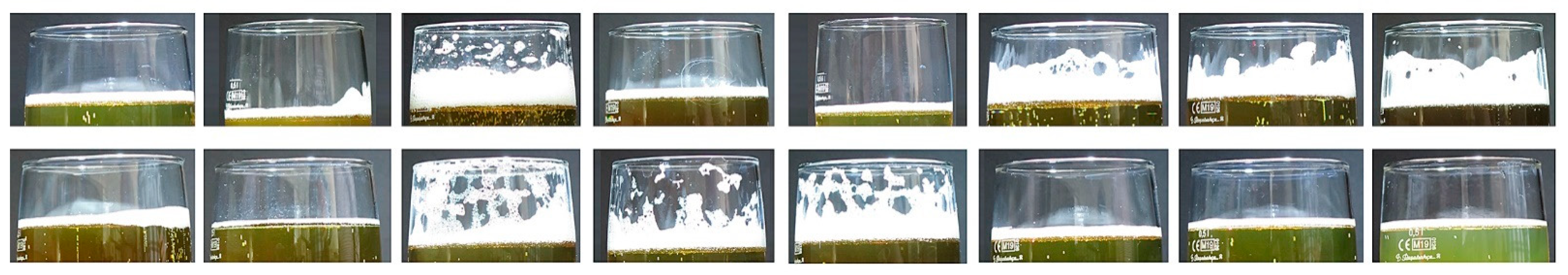 Fermentation 07 00113 g012